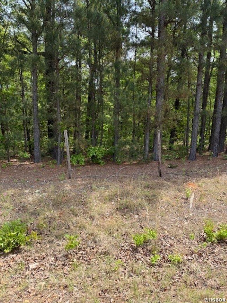 Tbd Maddox Court Property Photo 4
