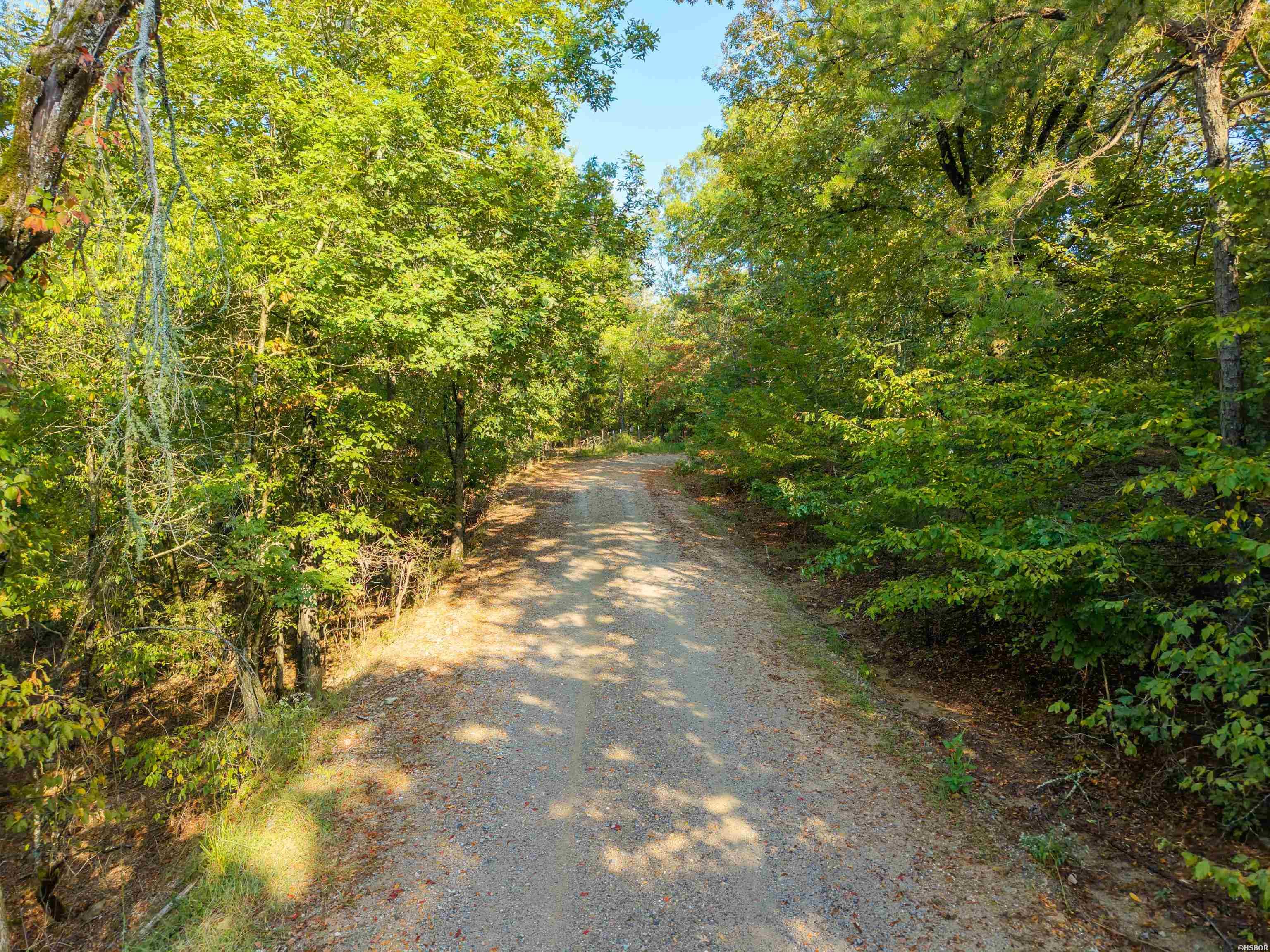 Tbd Ridgeway Street Property Photo 3