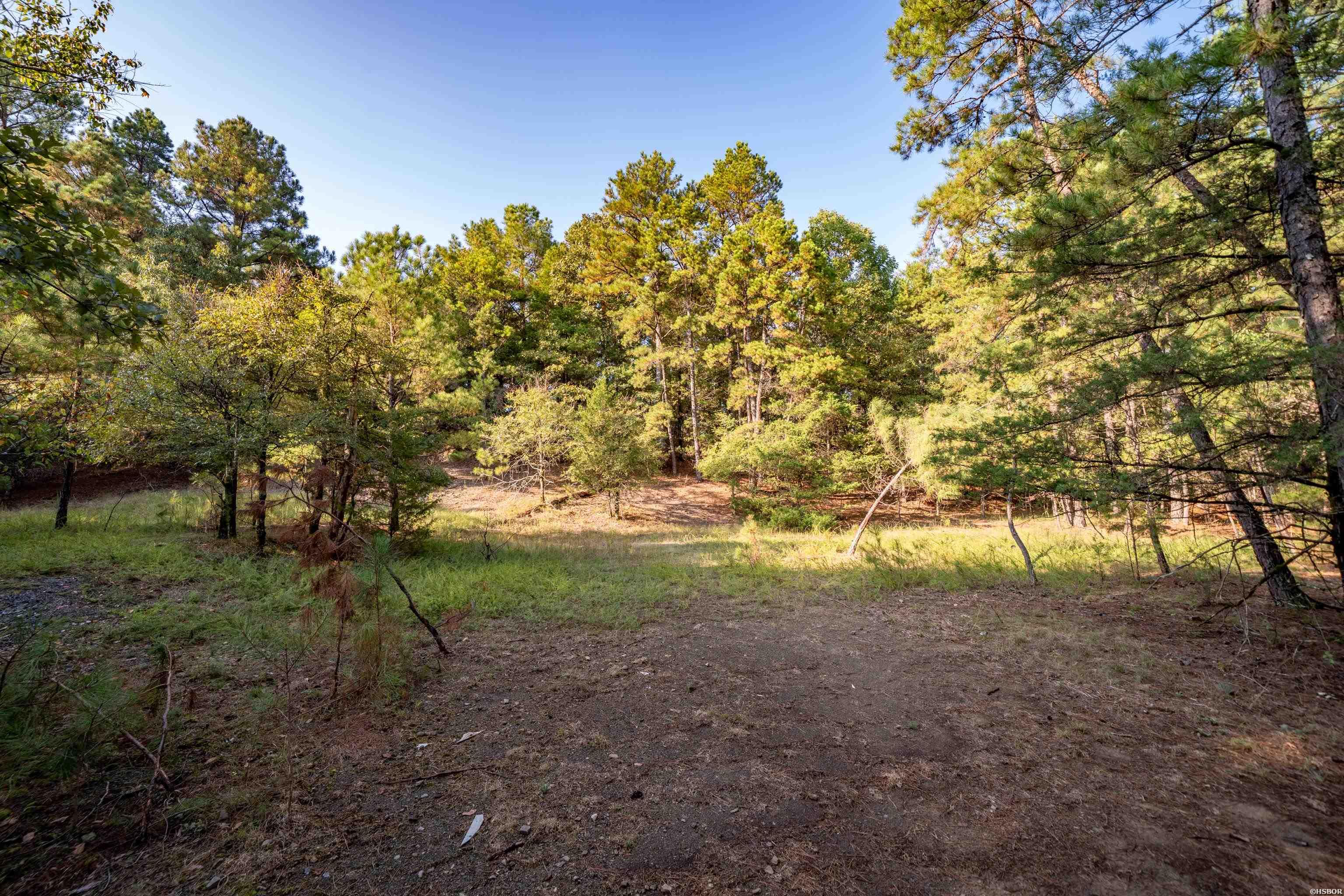 Tbd Ridgeway Street Property Photo 9
