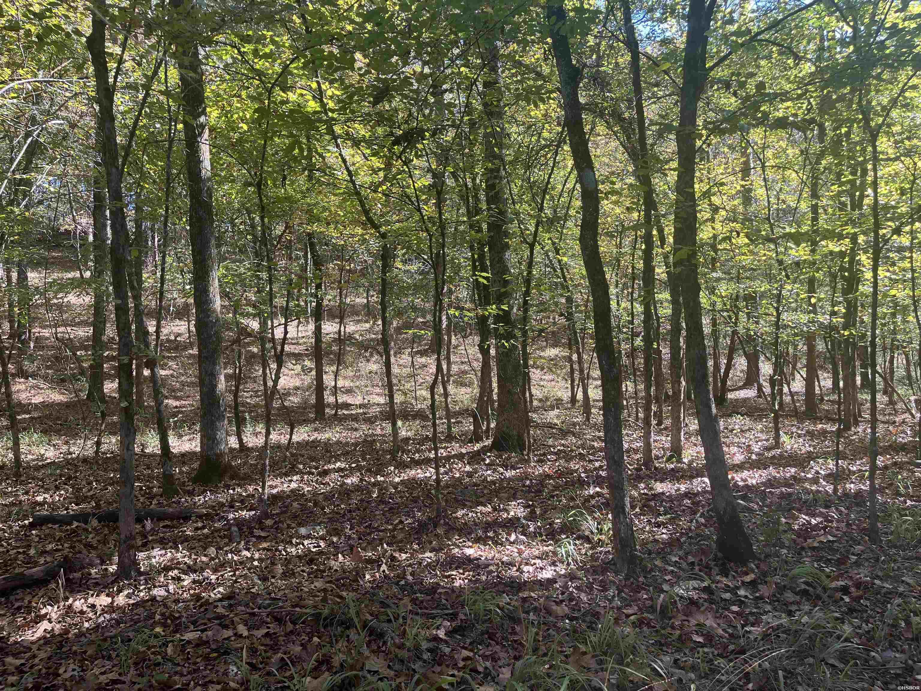 Xxx Hwy 8 Property Photo 5