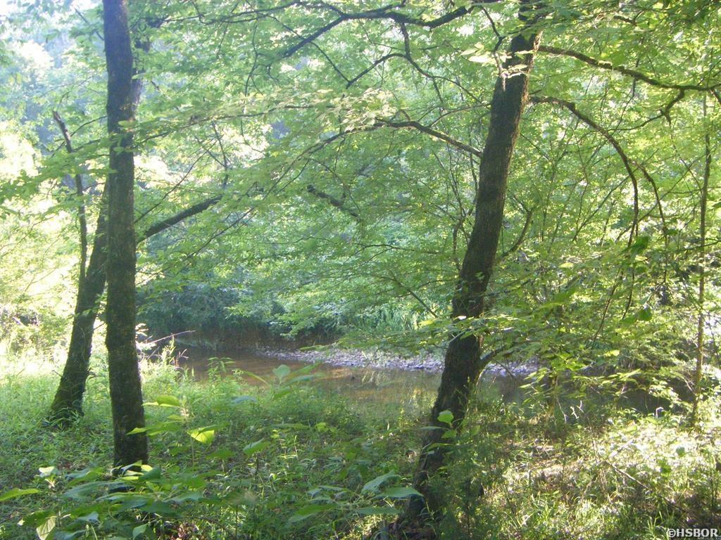 Tbd Mosley Road Property Photo 3