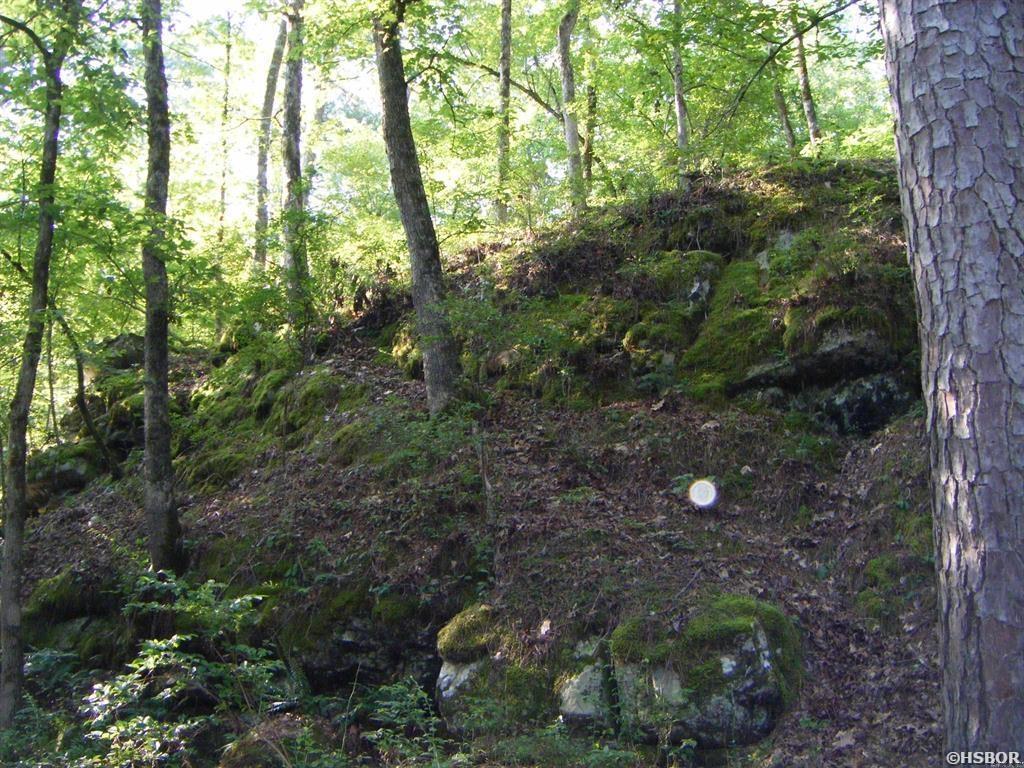 Tbd Mosley Road Property Photo 7