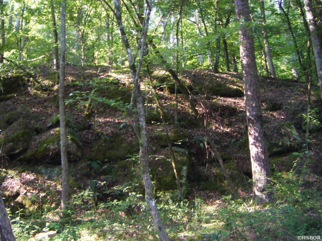 Tbd Mosley Road Property Photo 11