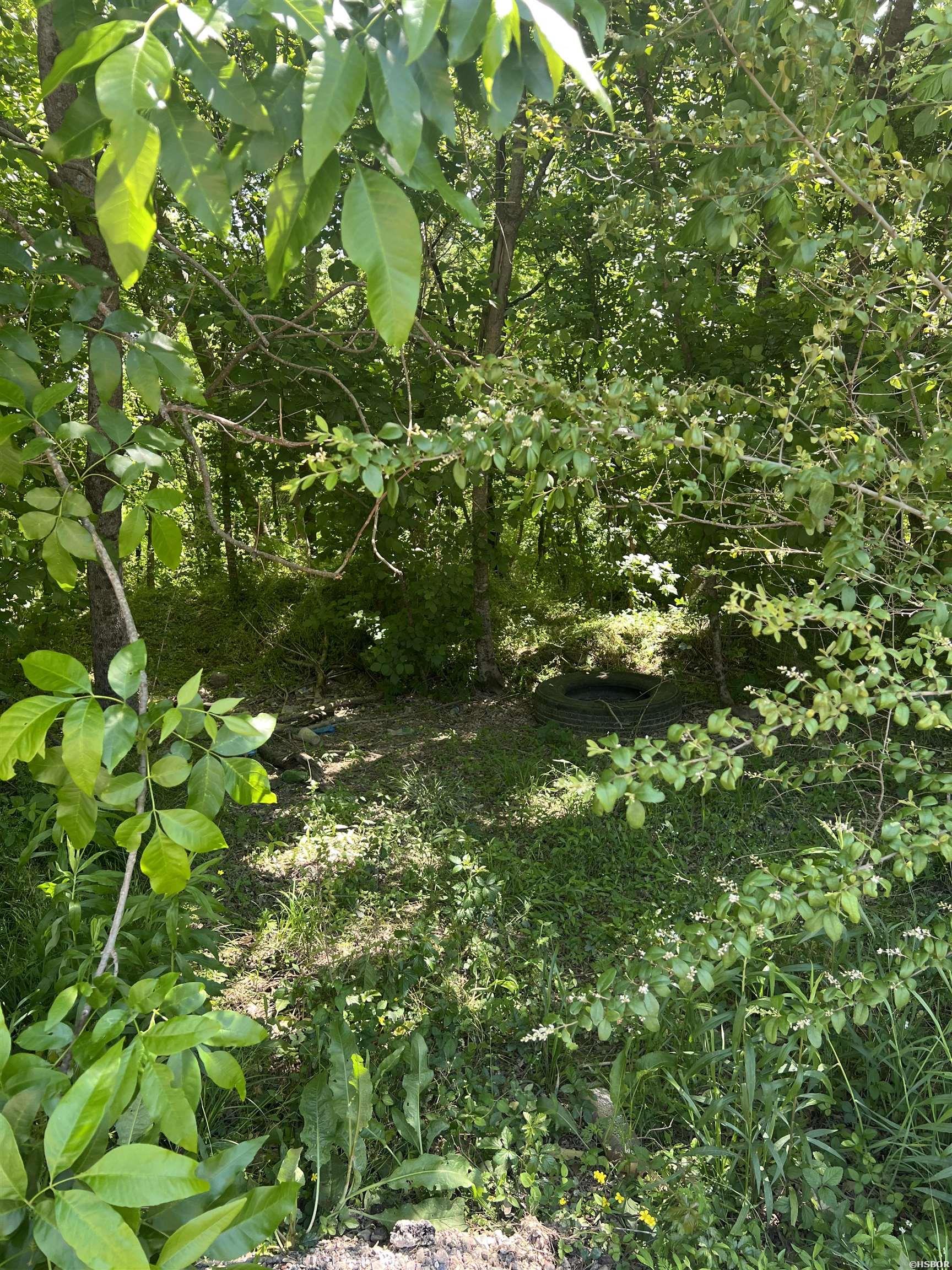 Xx Park Property Photo 2