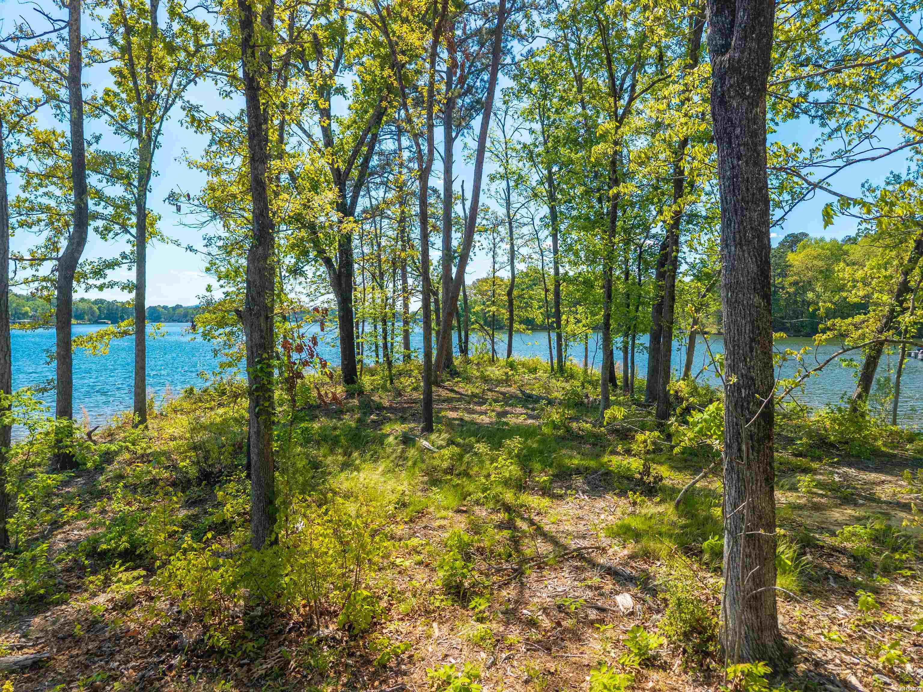 Tbd Grand Point Drive Property Photo 9