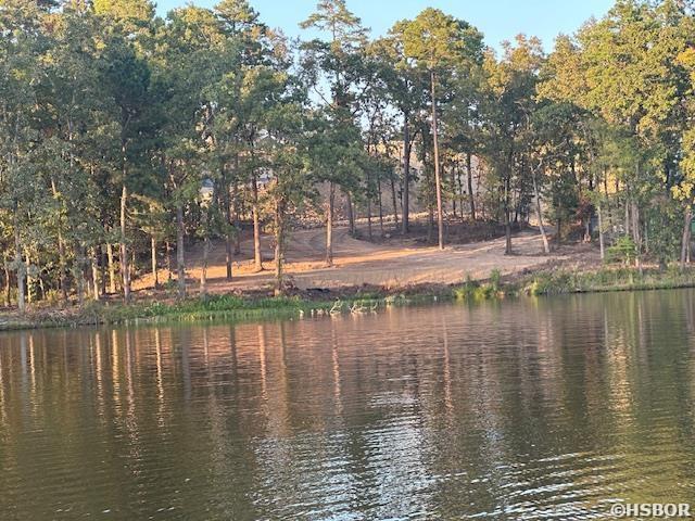 Tbd Grand Point Drive Property Photo 13