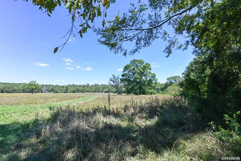 Tbd Stoney Point Road Property Photo 3