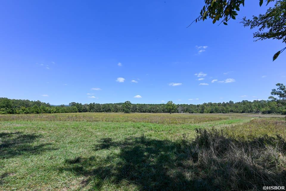 Tbd Stoney Point Road Property Photo 9
