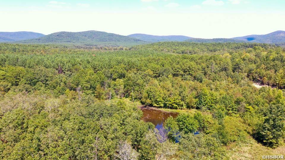 Tbd Stoney Point Road Property Photo 10