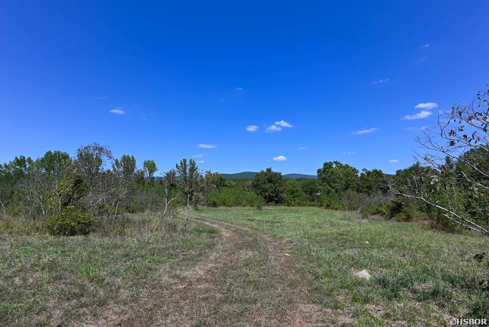 Tbd Stoney Point Road Property Photo 13