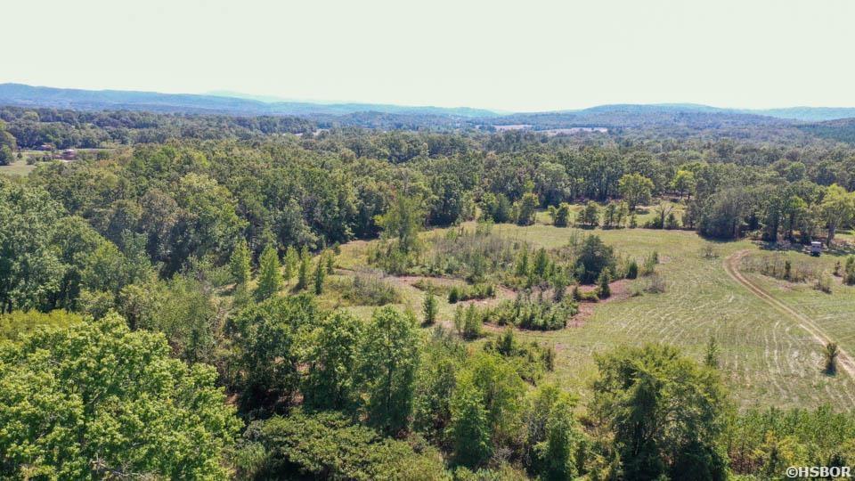 Tbd Stoney Point Road Property Photo 21