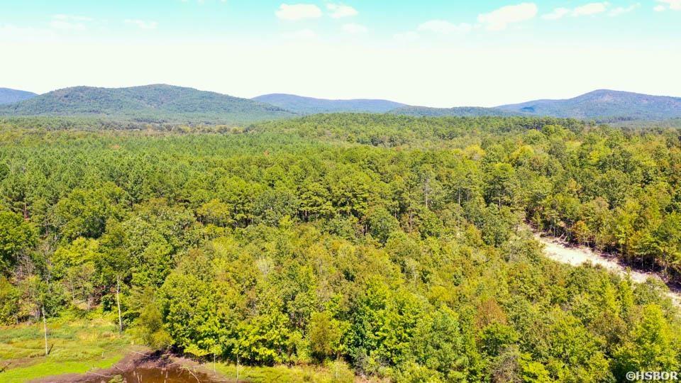 Tbd Stoney Point Road Property Photo 25