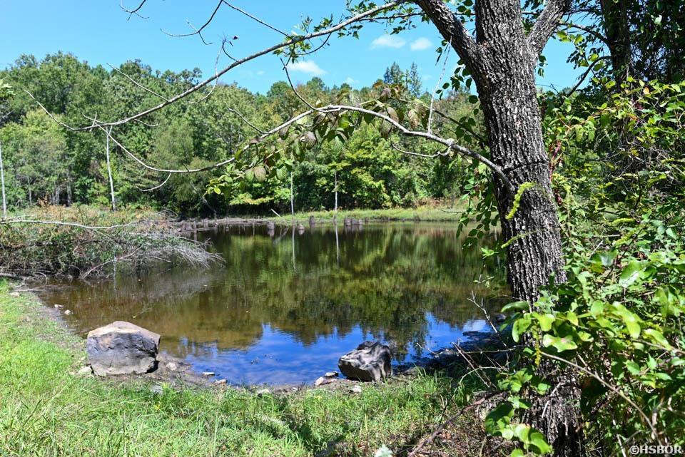 Tbd Stoney Point Road Property Photo 29