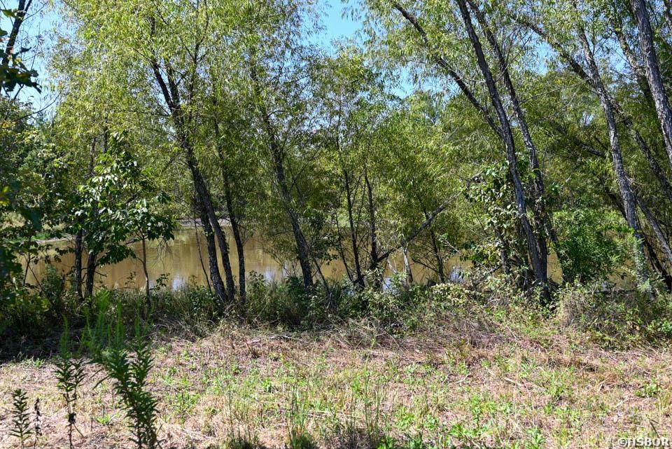 Tbd Stoney Point Road Property Photo 33