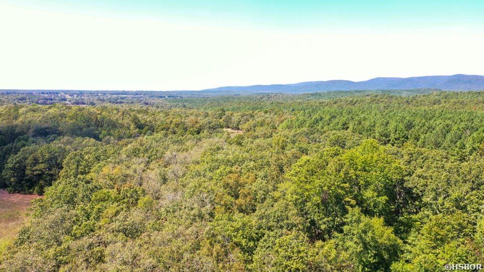 Tbd Stoney Point Road Property Photo 39