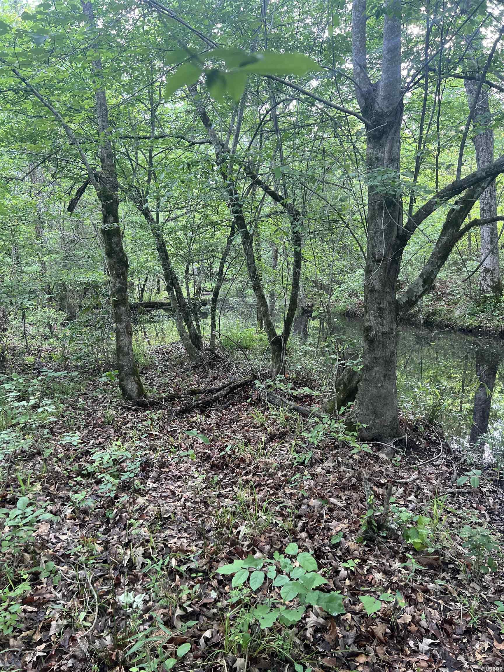 404 Mount Moriah Road Property Photo 8