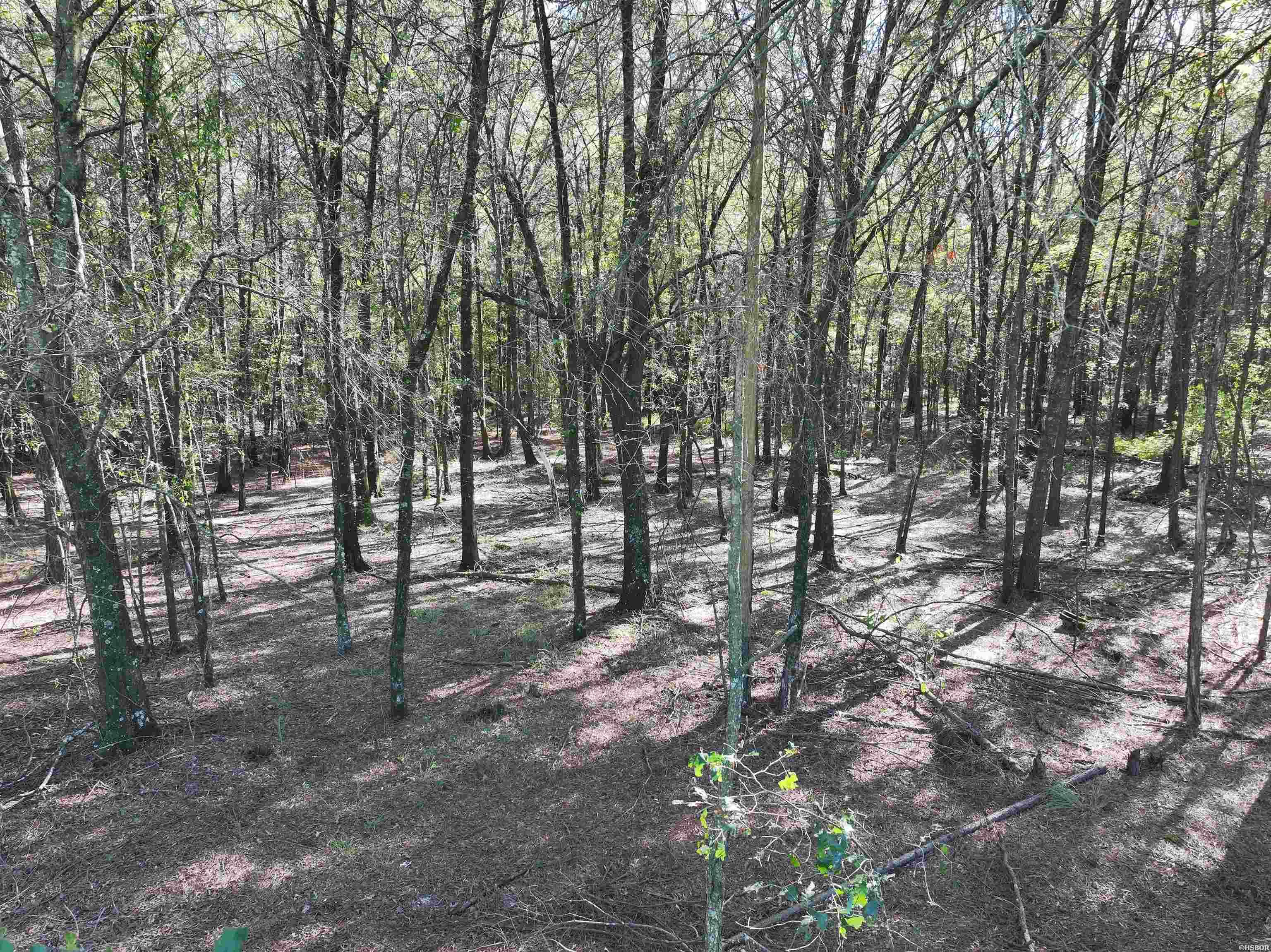 Xxx Central Road Property Photo 10