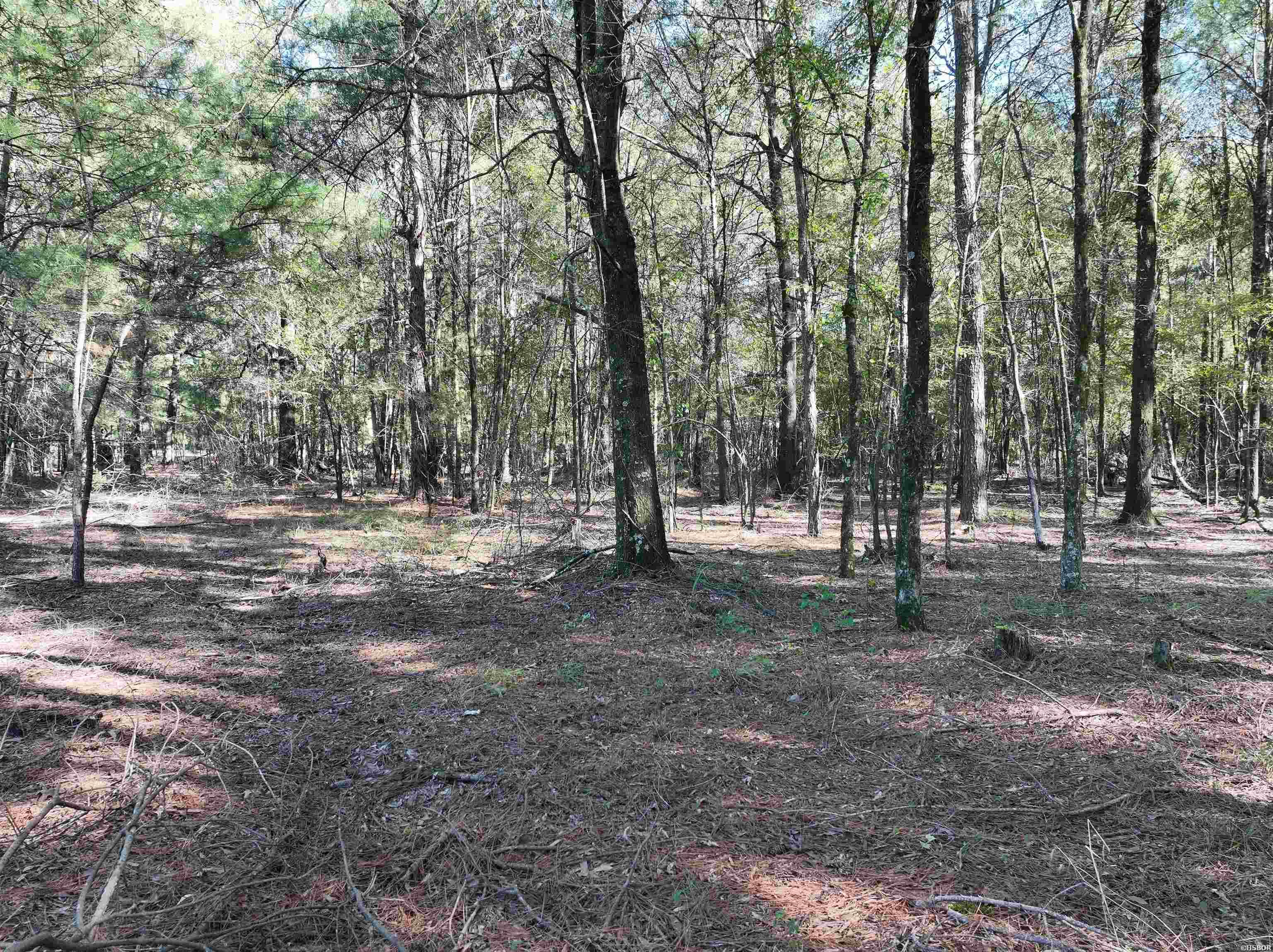 Xxx Central Road Property Photo 18