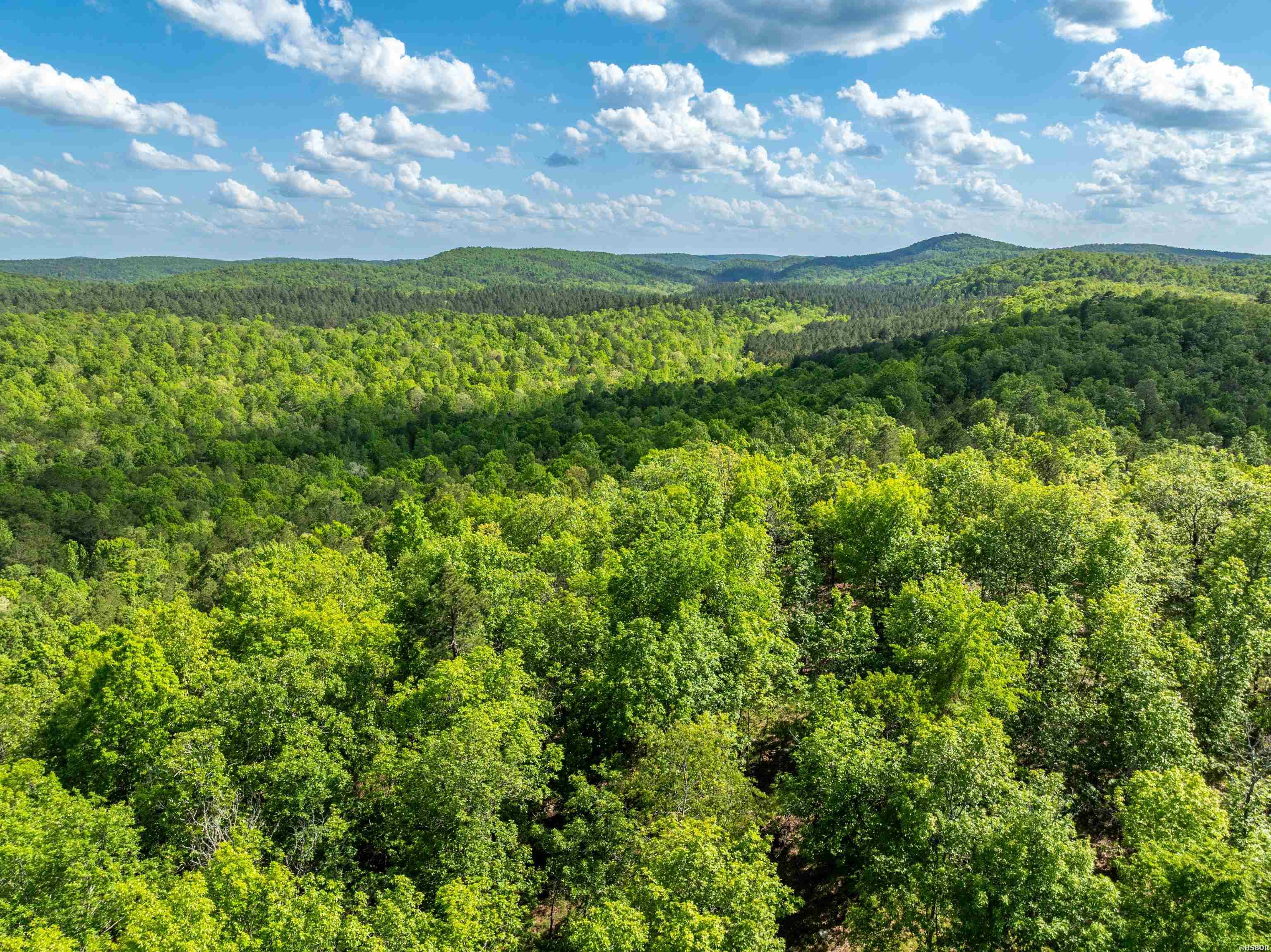 Rpid 115120 Cedar Creek Road Property Photo 3