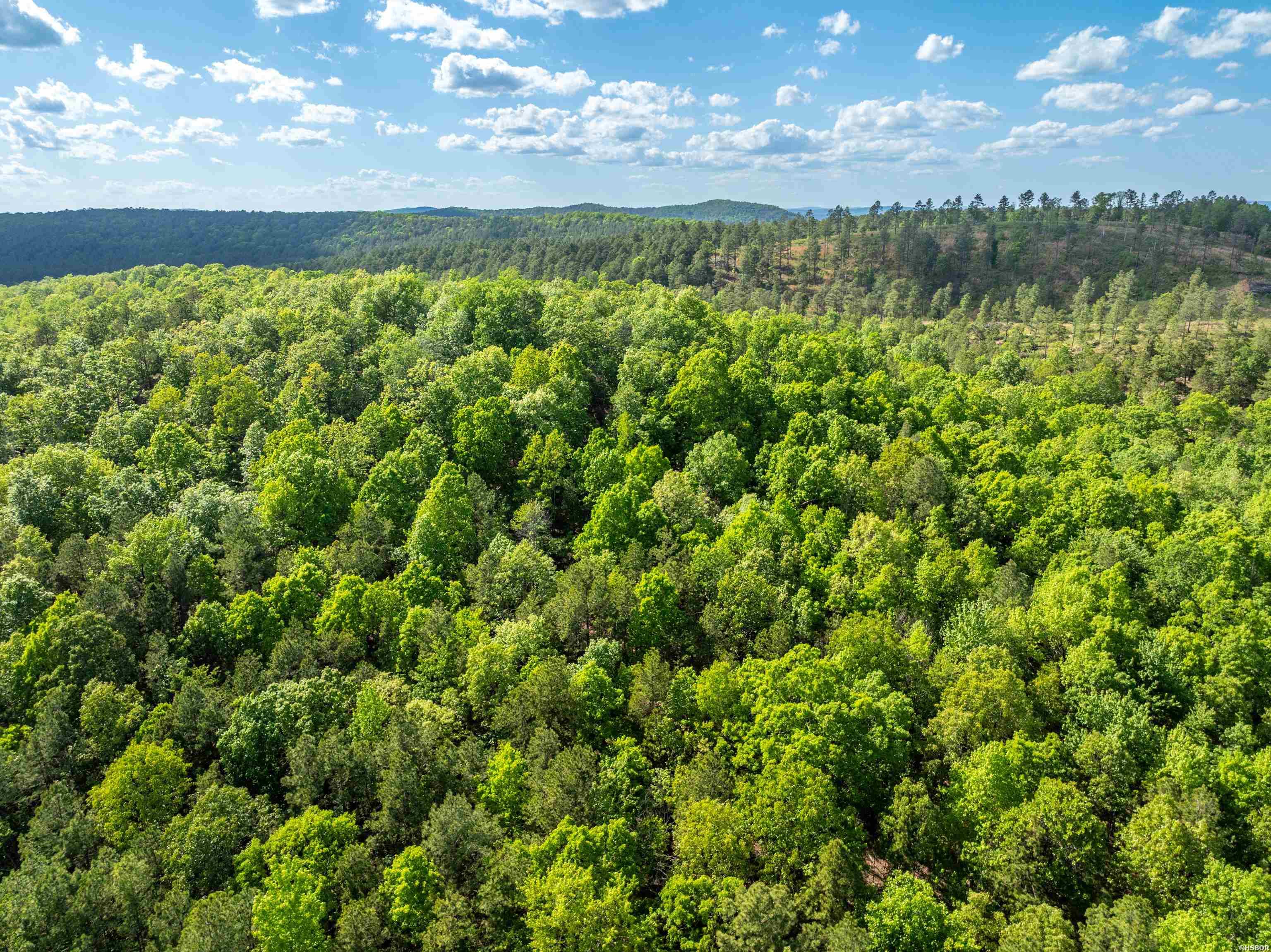 Rpid 115120 Cedar Creek Road Property Photo 4