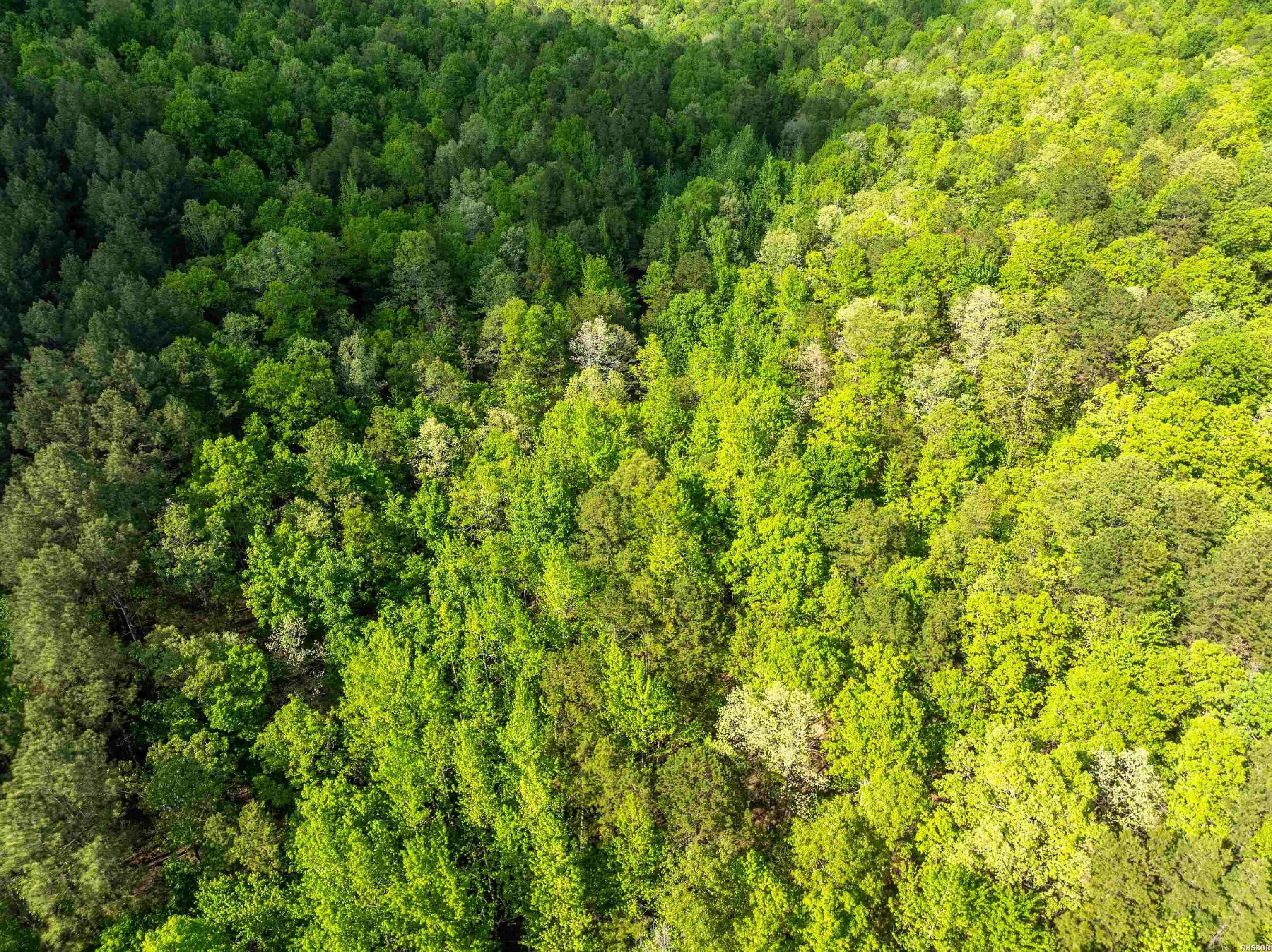 Rpid 115120 Cedar Creek Road Property Photo 7