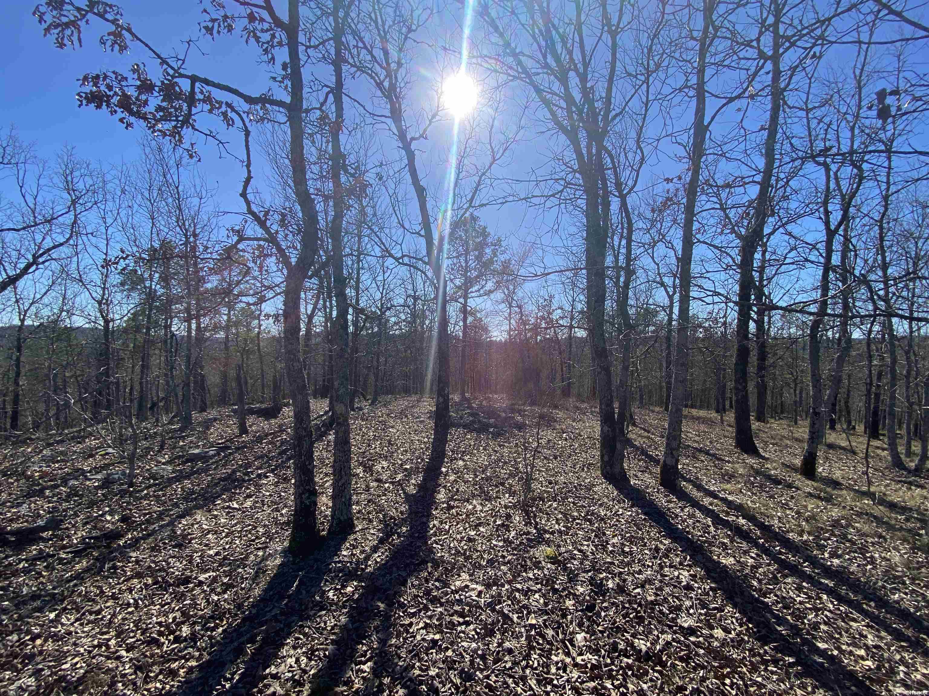 Rpid 115120 Cedar Creek Road Property Photo 10