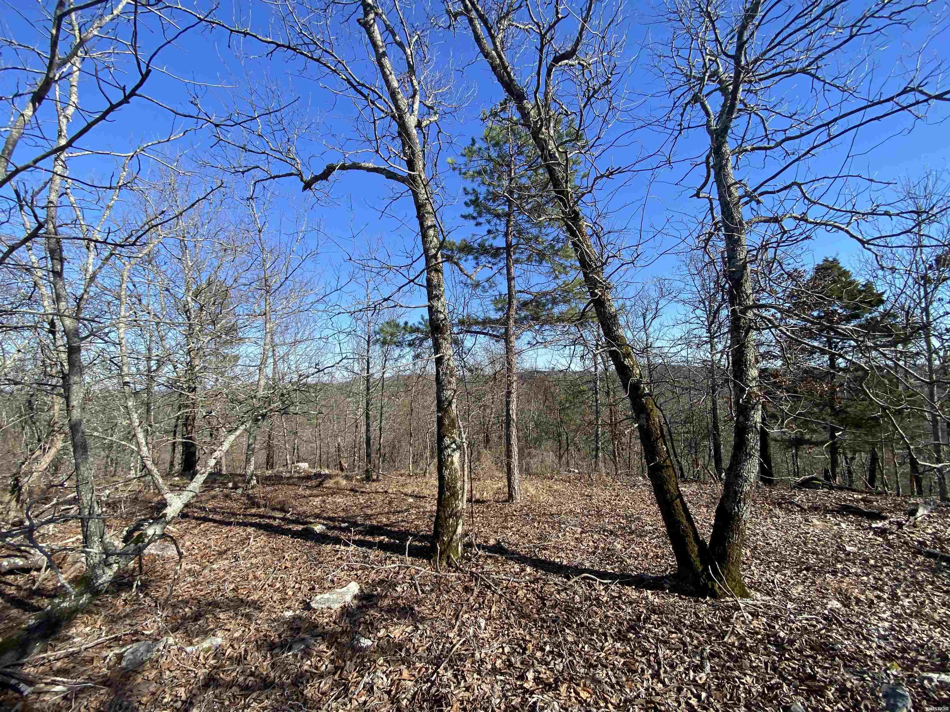 Rpid 115120 Cedar Creek Road Property Photo 11