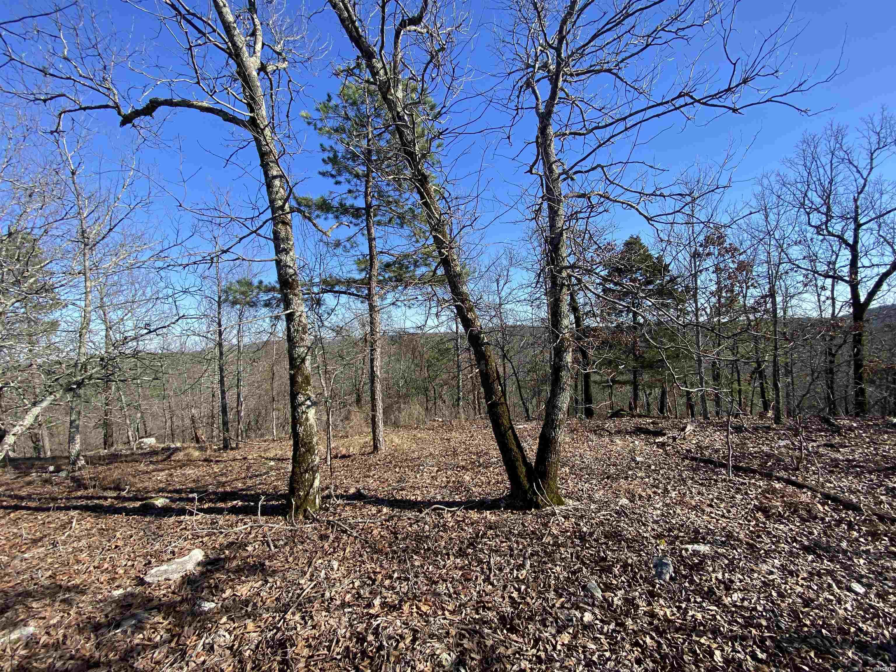 Rpid 115120 Cedar Creek Road Property Photo 13
