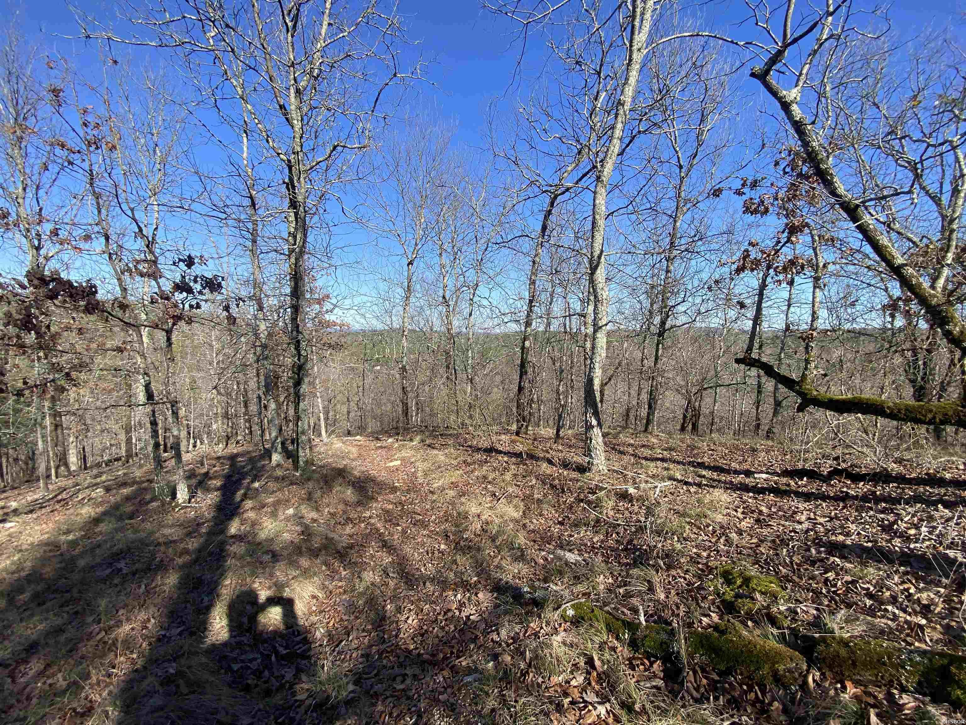 Rpid 115120 Cedar Creek Road Property Photo 14