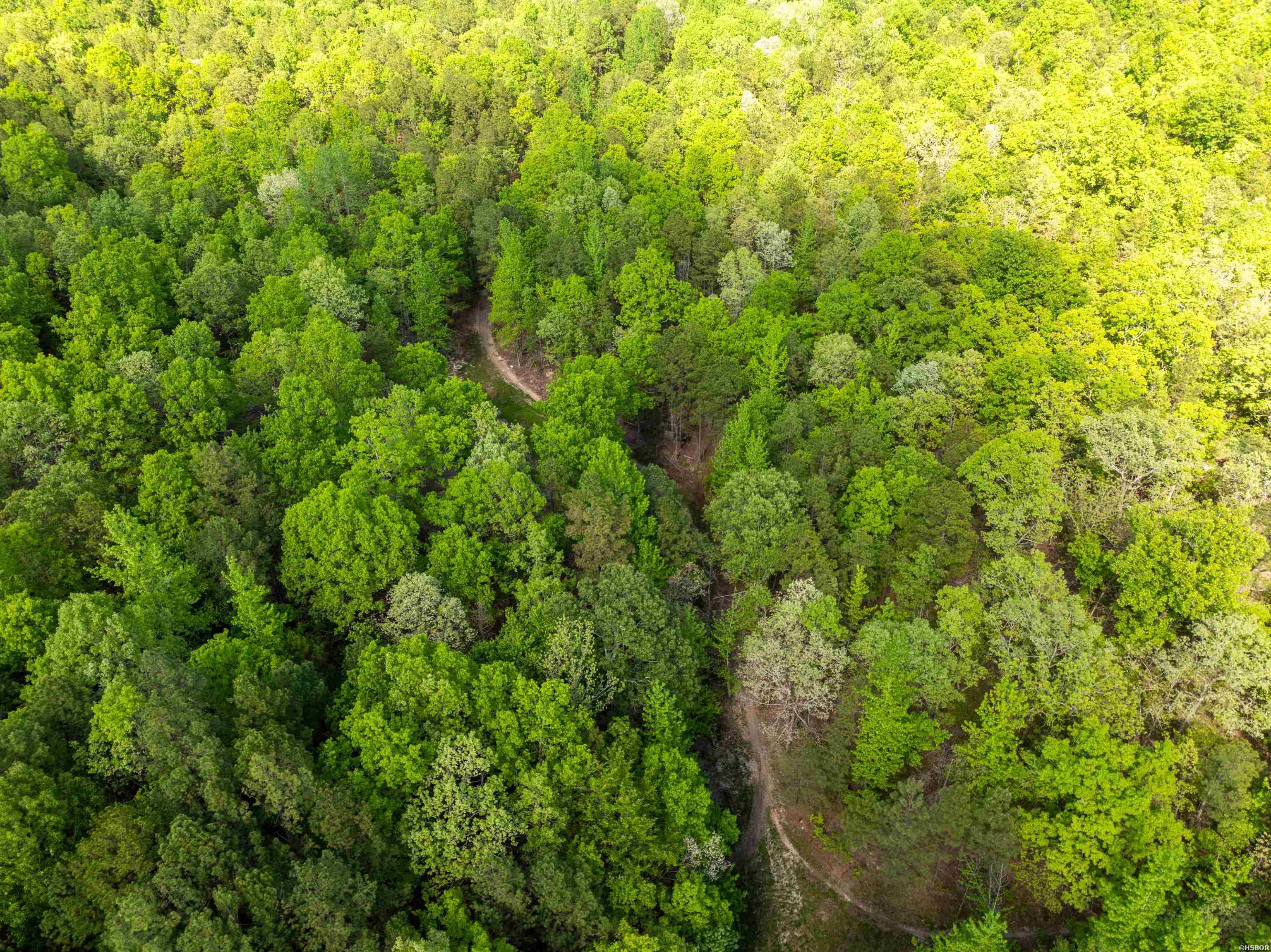 Rpid 115120 Cedar Creek Road Property Photo 20