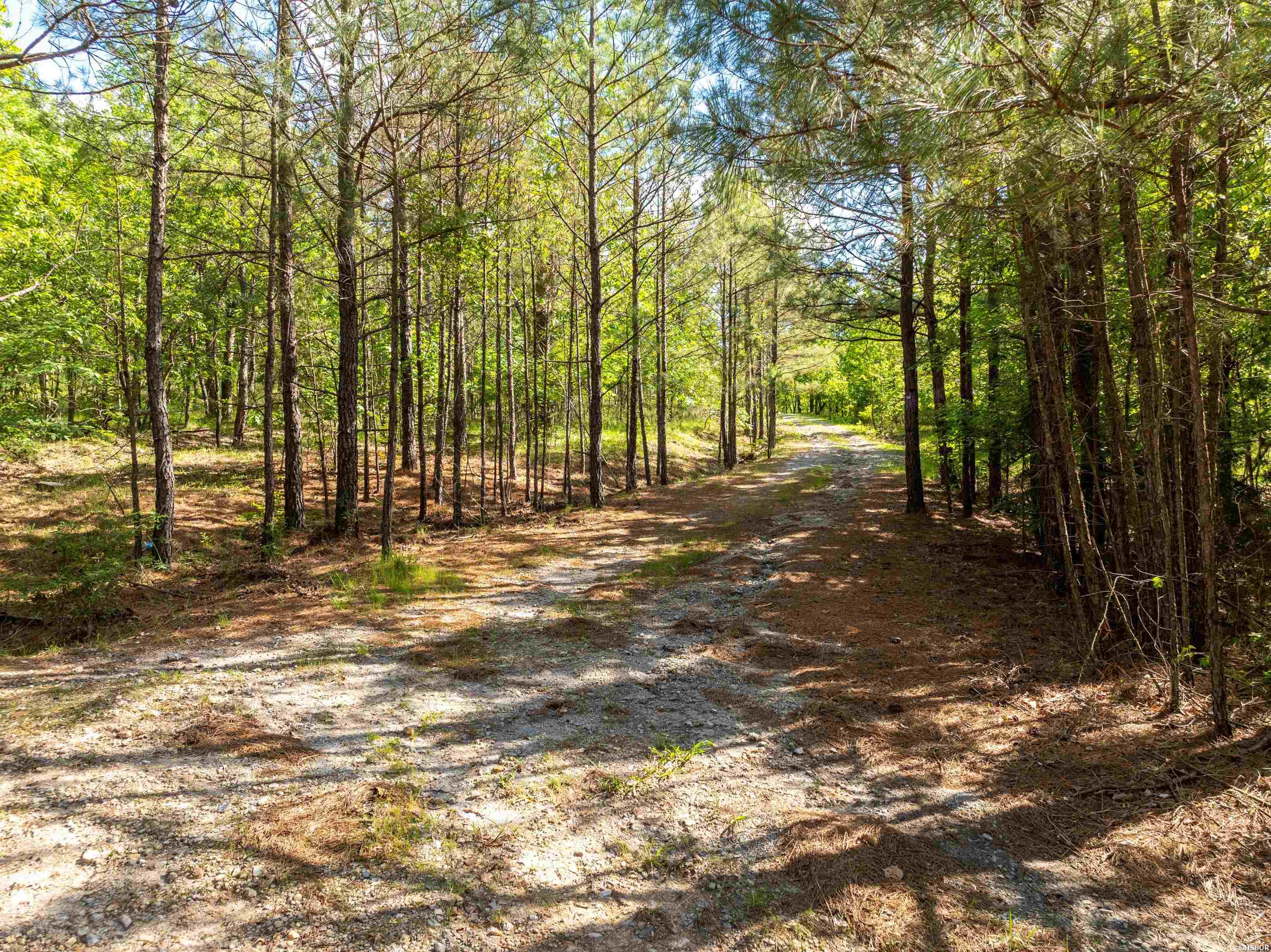 Rpid 115120 Cedar Creek Road Property Photo 24
