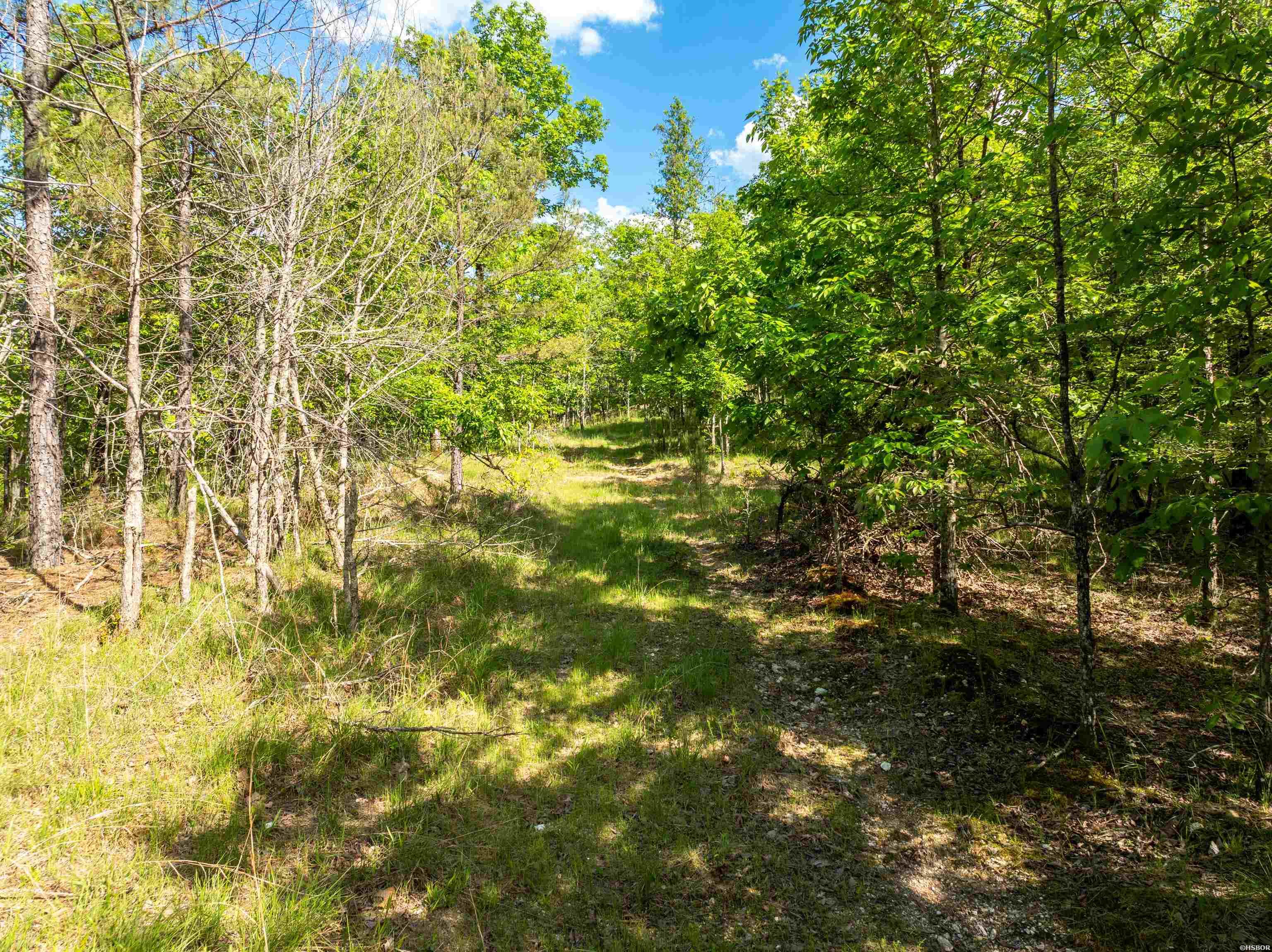Rpid 115120 Cedar Creek Road Property Photo 26