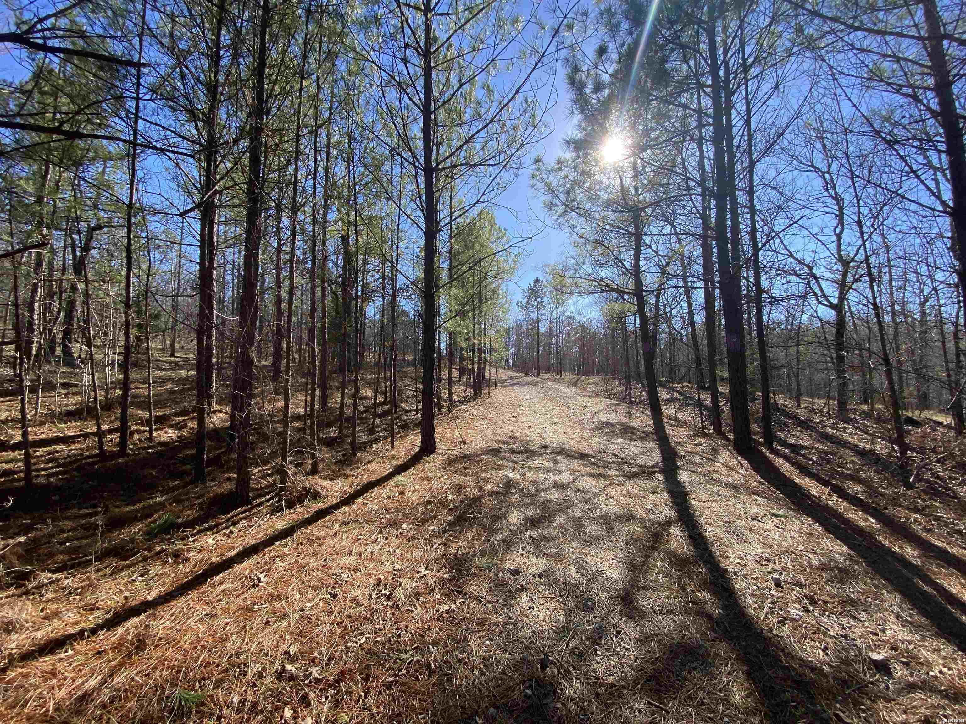 Rpid 115120 Cedar Creek Road Property Photo 34