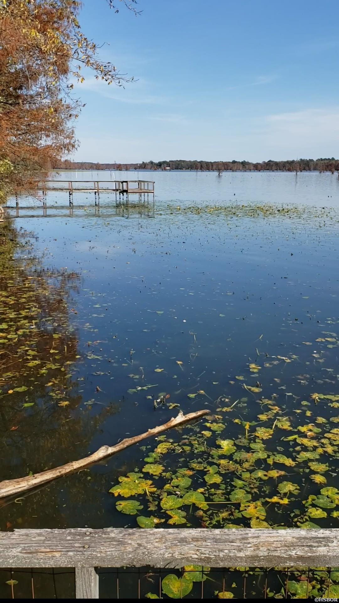 86 Waterfront Cove Property Photo 9