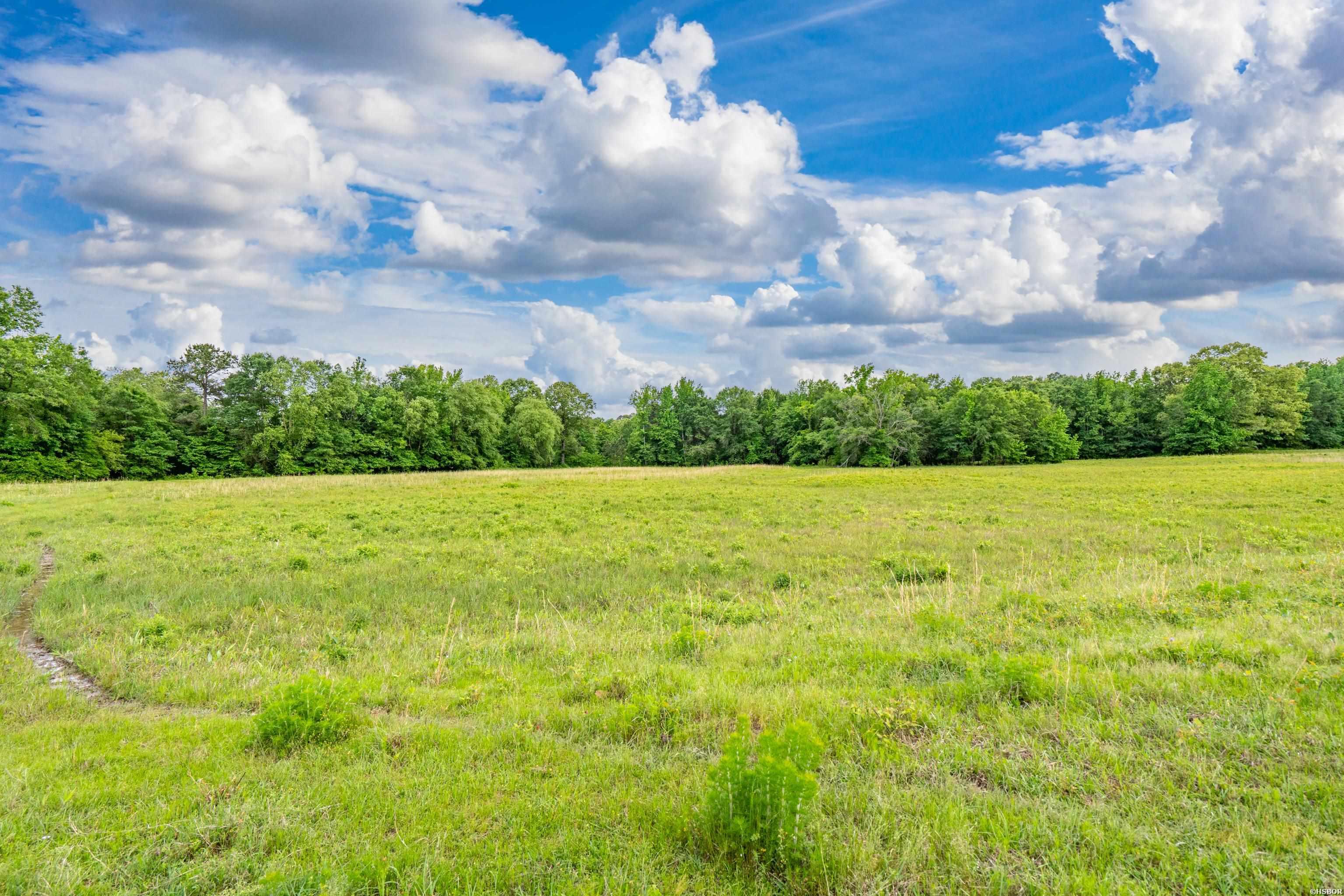 371 Highway 128 Property Photo 6