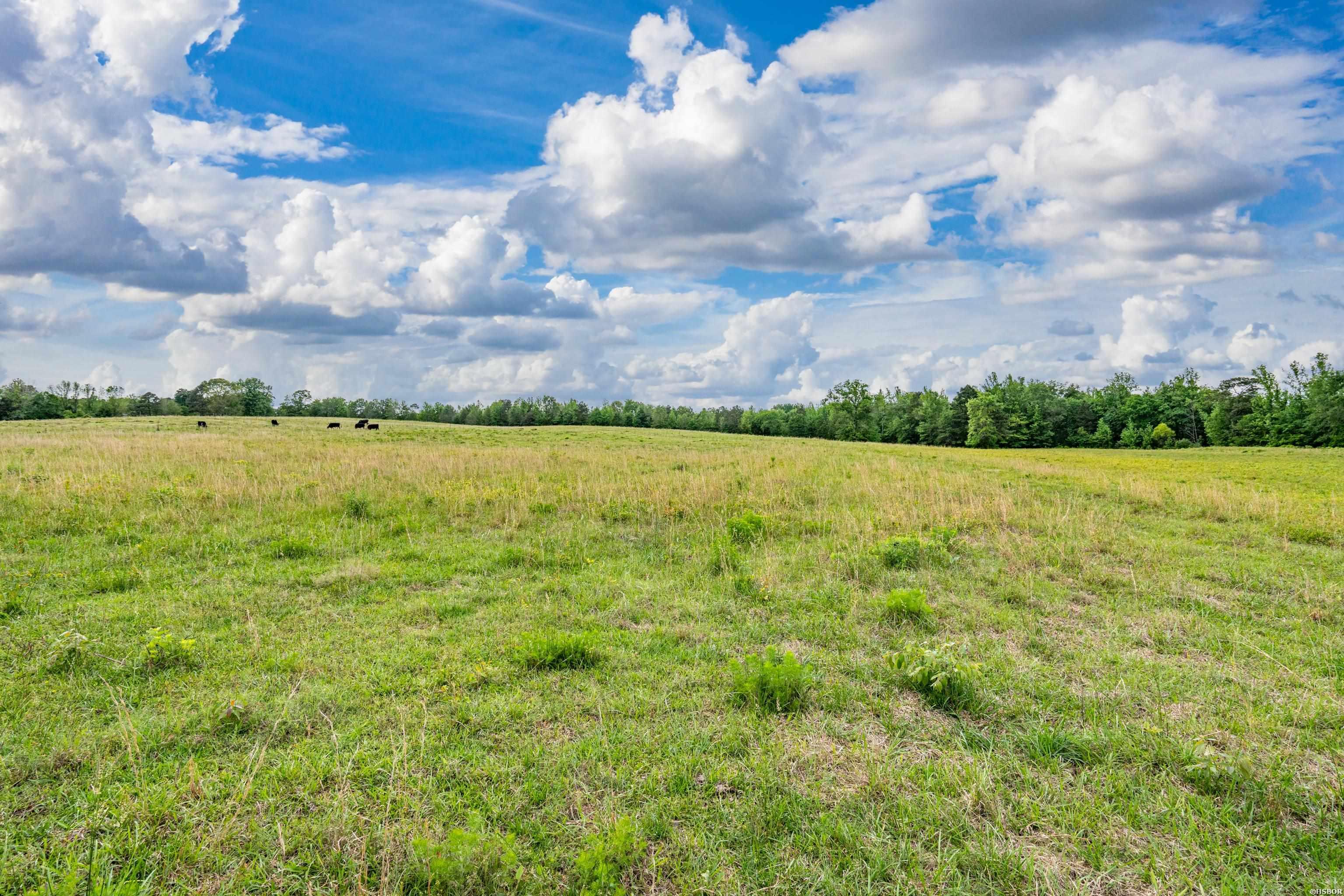 371 Highway 128 Property Photo 10