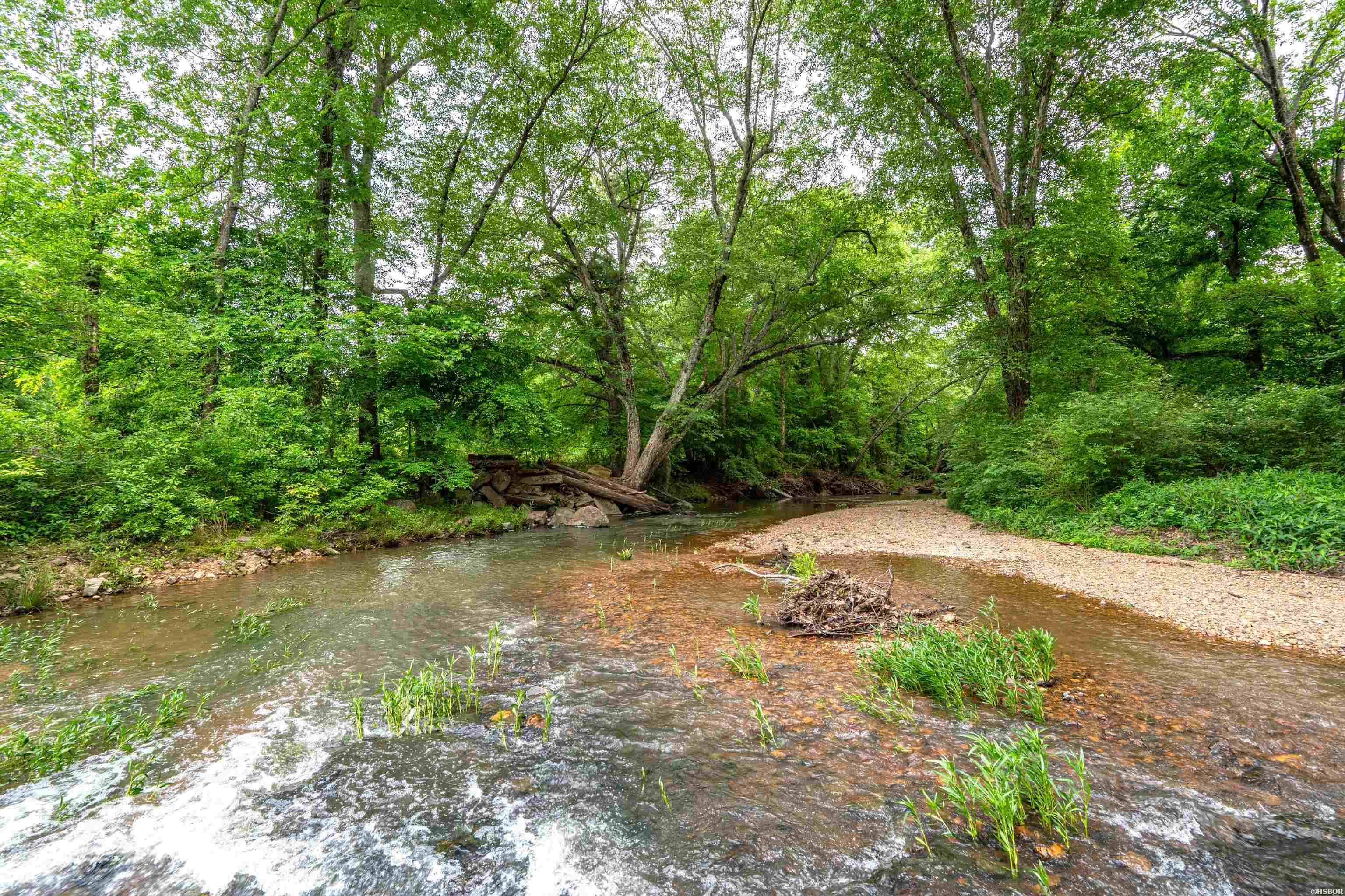 371 Highway 128 Property Photo 23