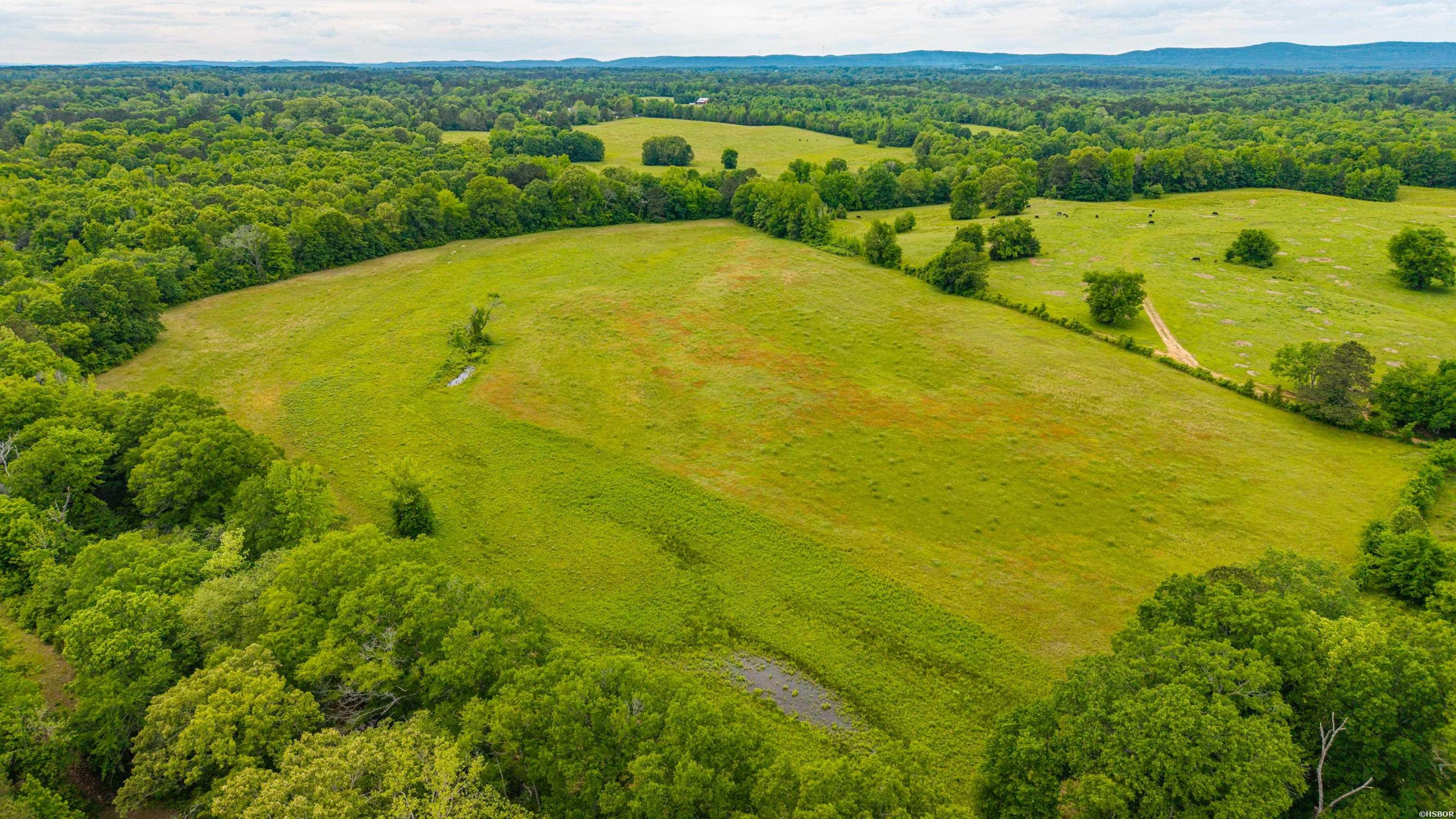 371 Highway 128 Property Photo 31