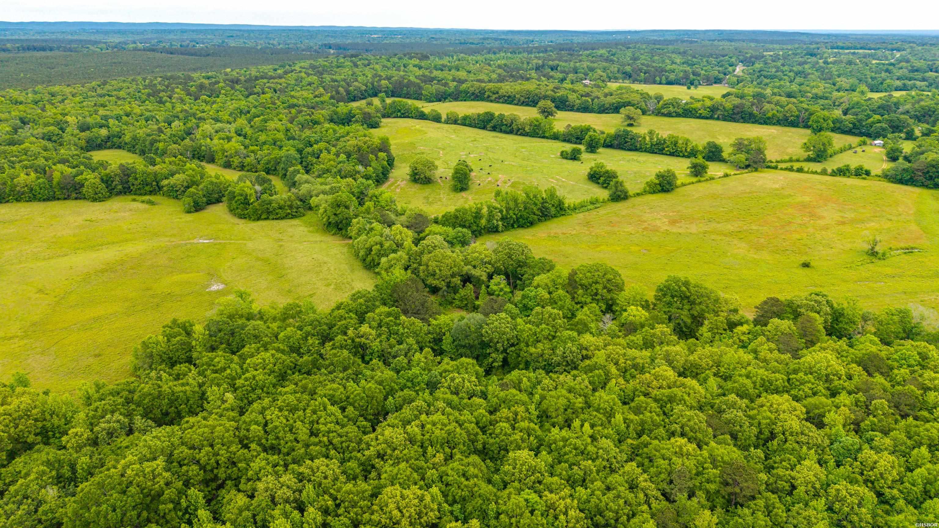 371 Highway 128 Property Photo 33