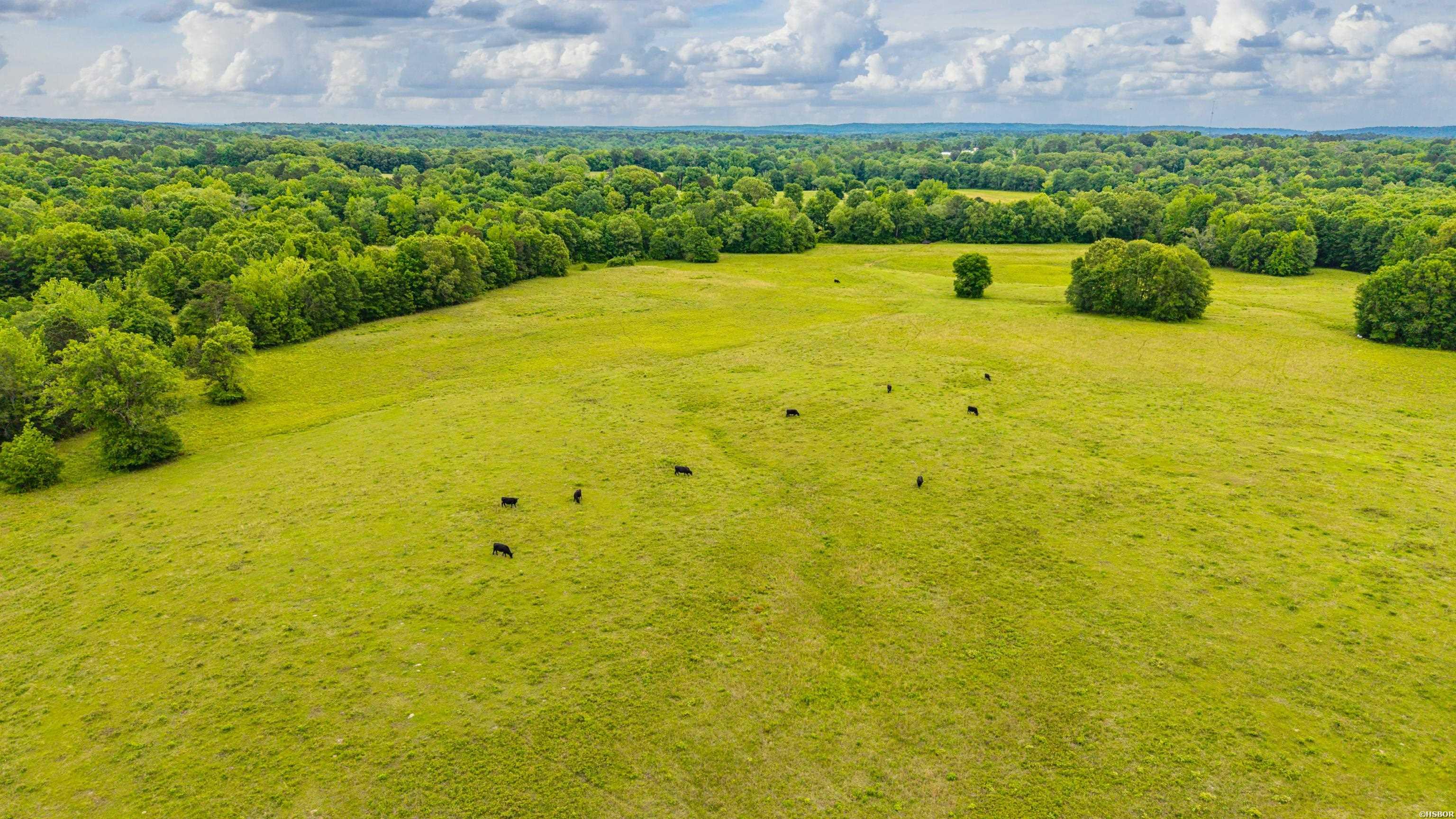 371 Highway 128 Property Photo 35