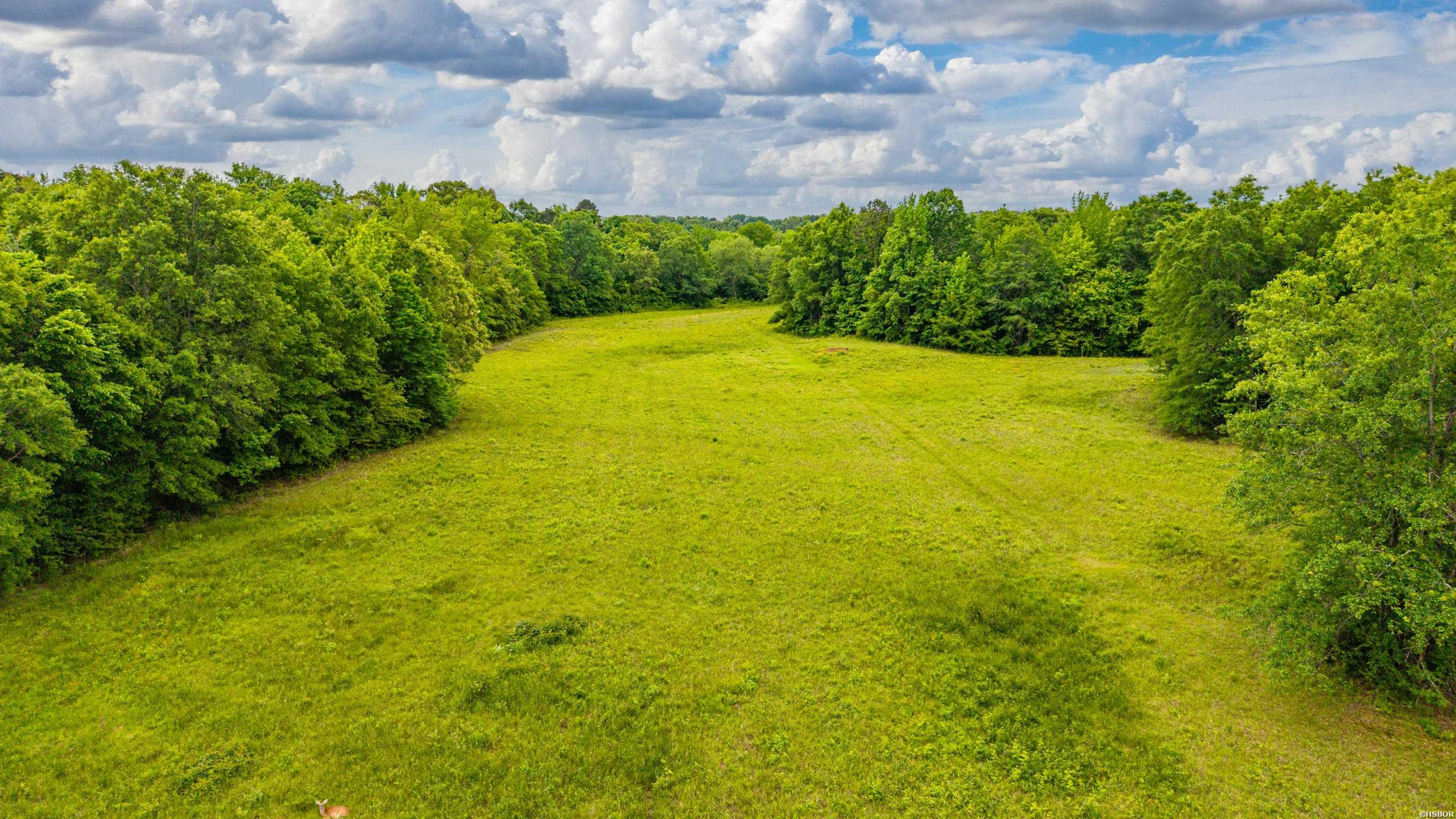 371 Highway 128 Property Photo 38