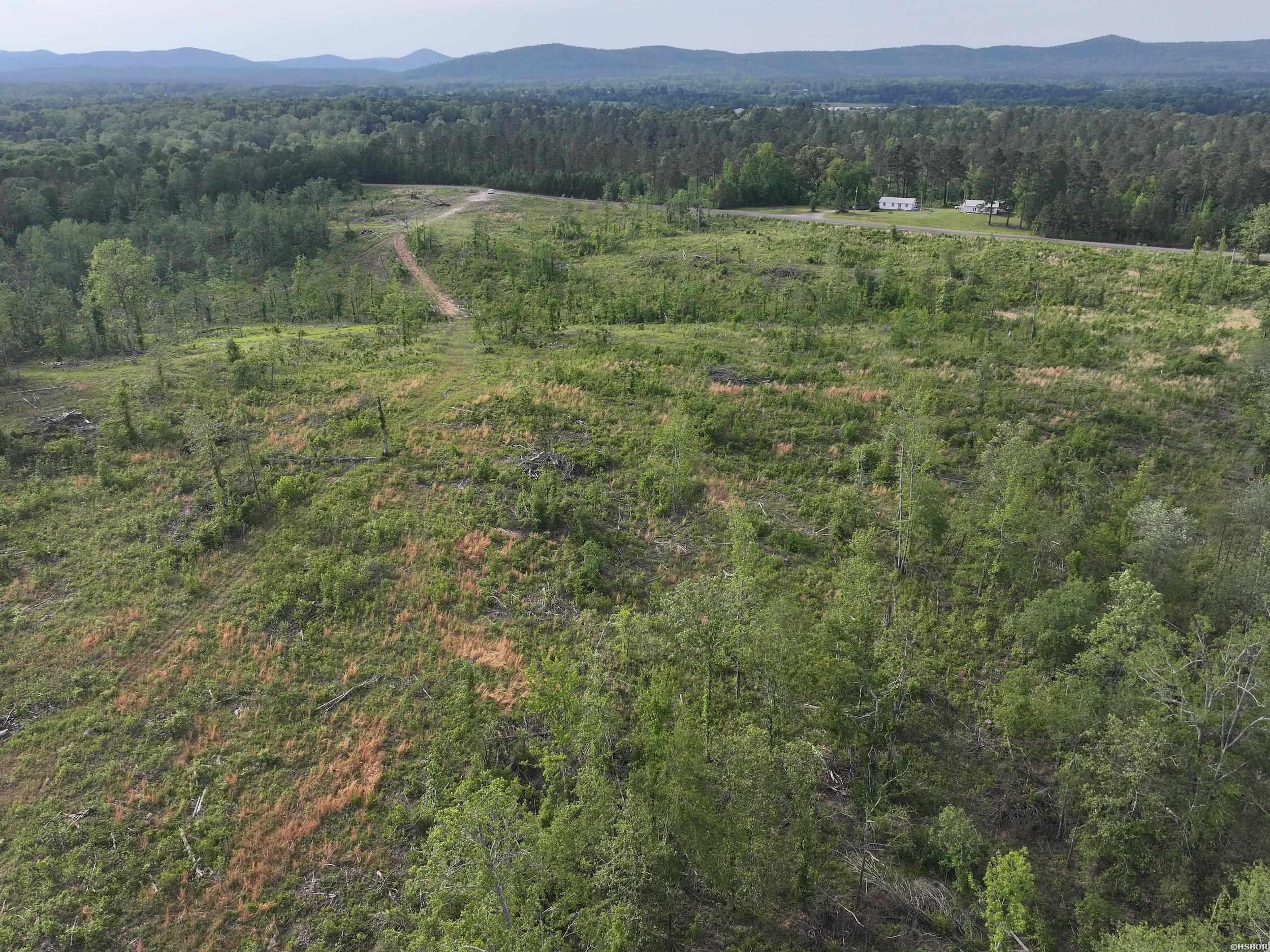 Xxx Mcgrew Property Photo 10