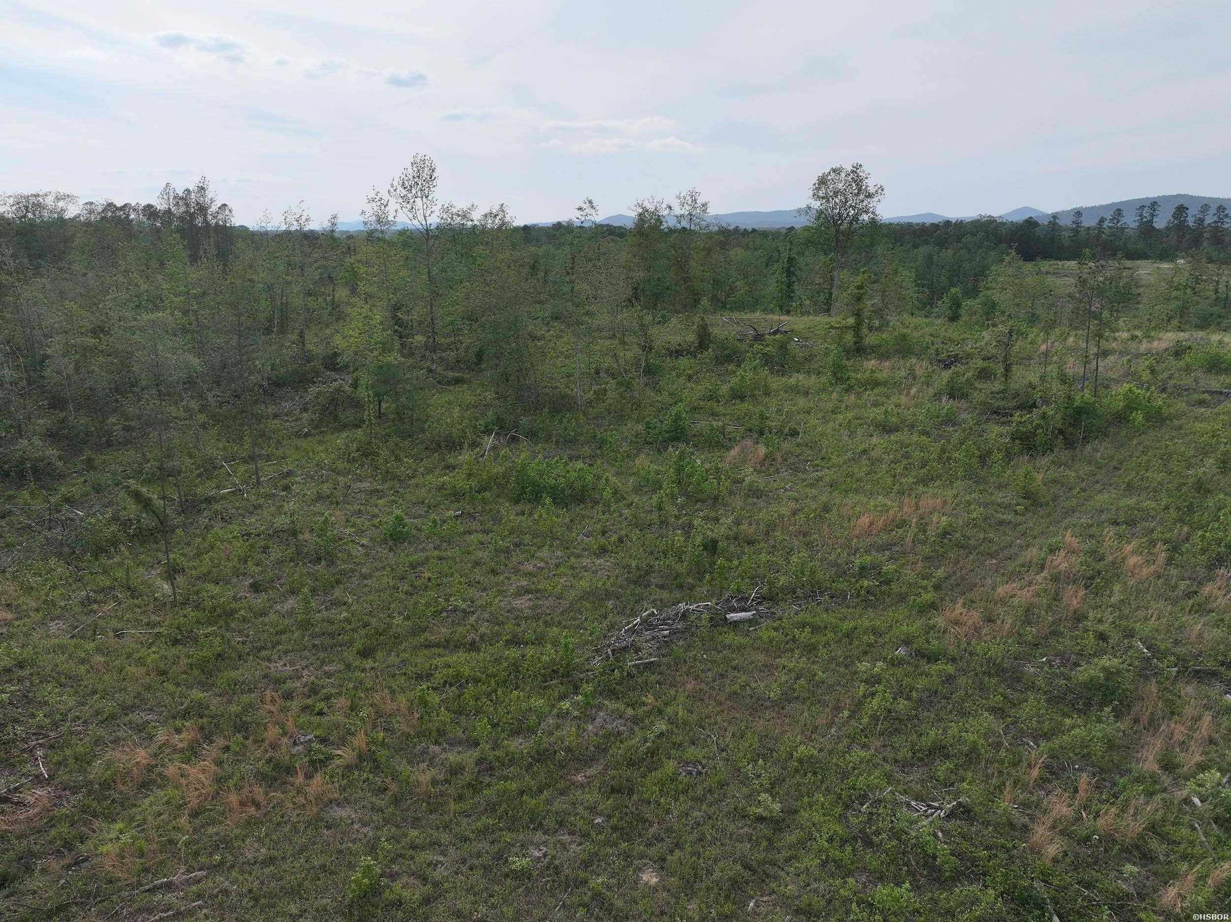 Xxx Mcgrew Property Photo 12