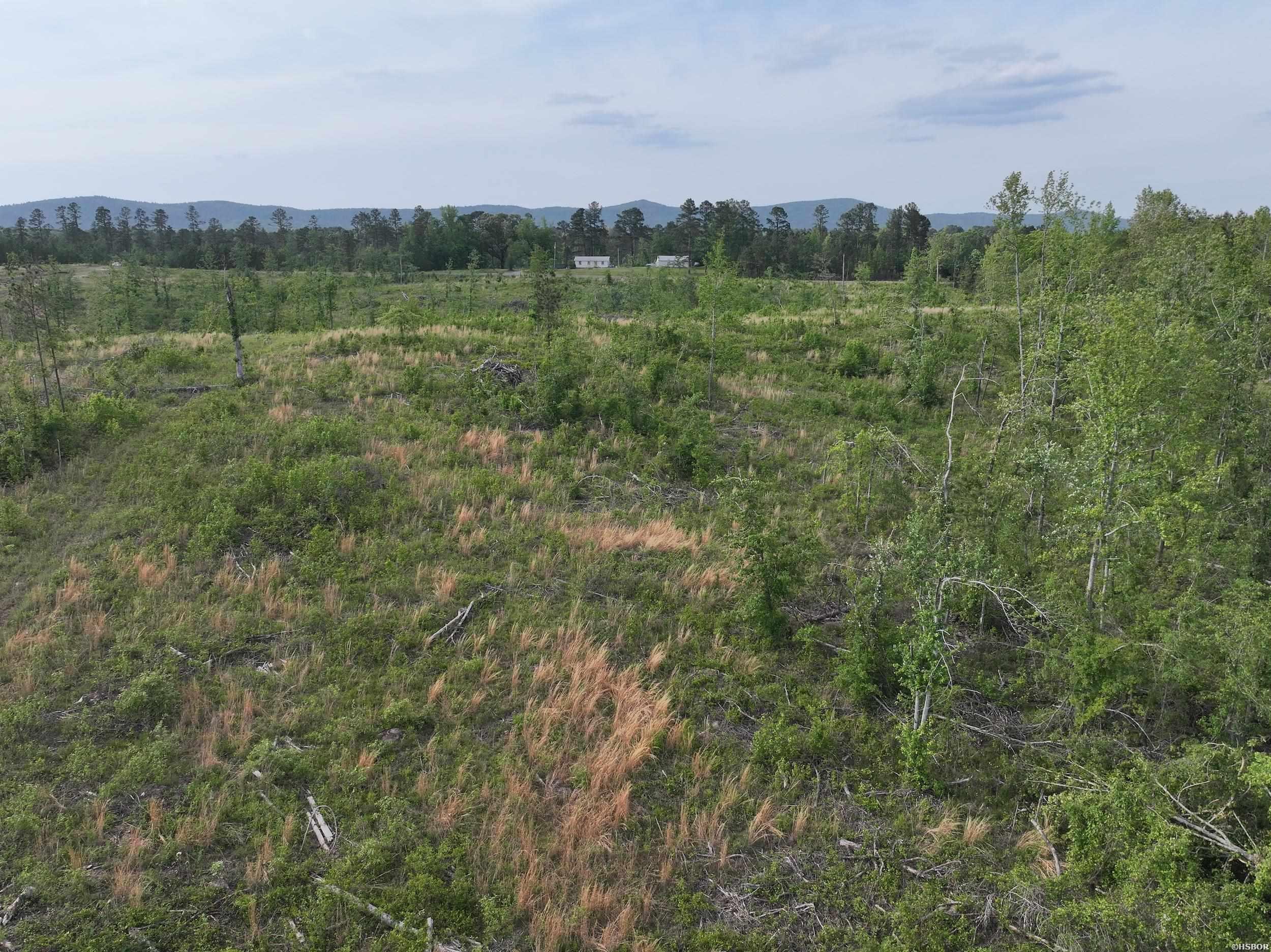 Xxx Mcgrew Property Photo 13