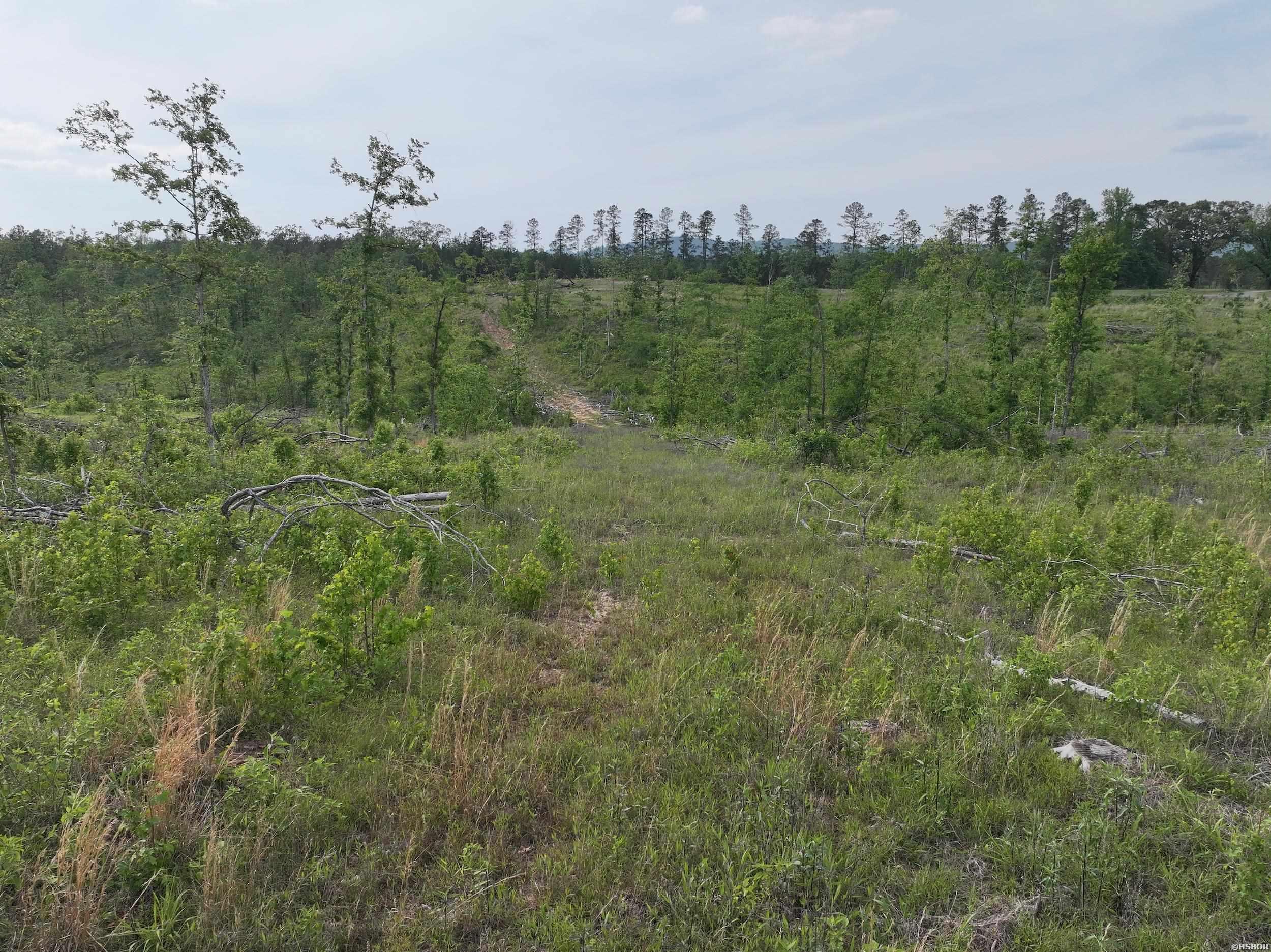 Xxx Mcgrew Property Photo 15