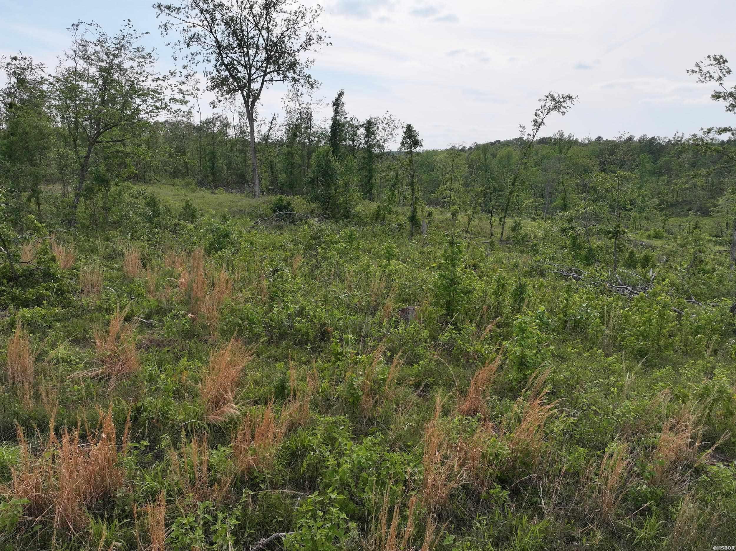Xxx Mcgrew Property Photo 16