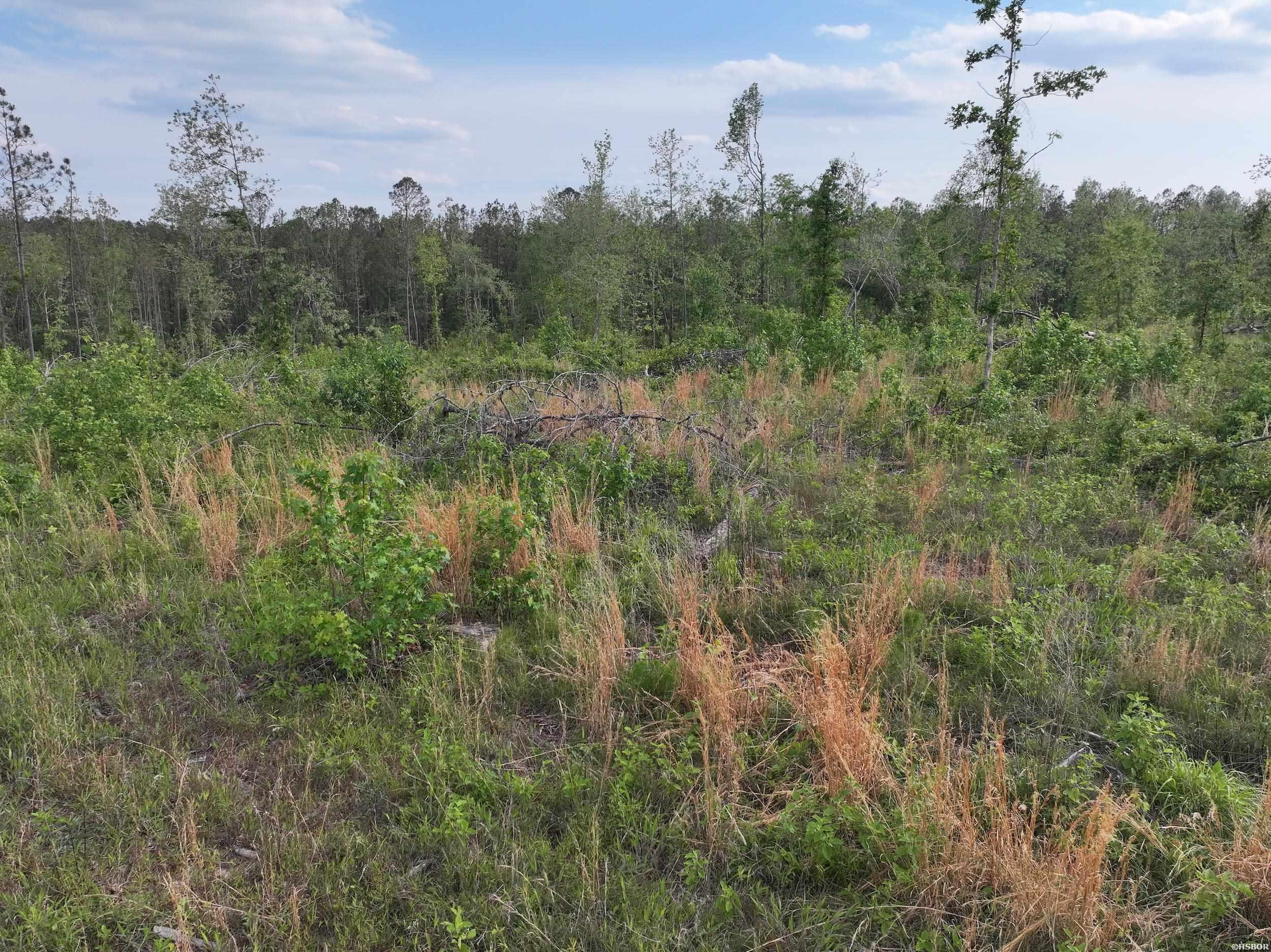 Xxx Mcgrew Property Photo 17