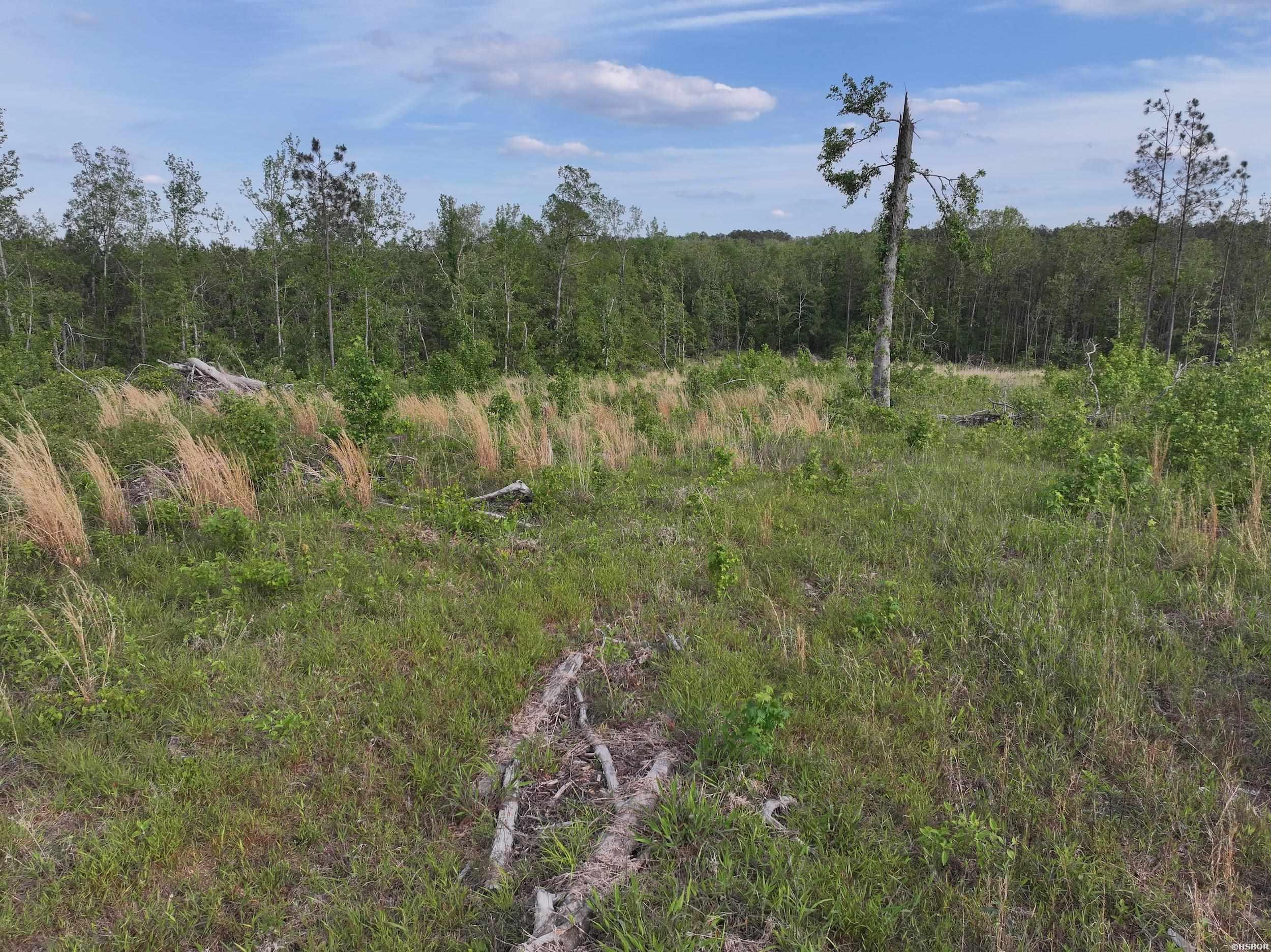 Xxx Mcgrew Property Photo 18