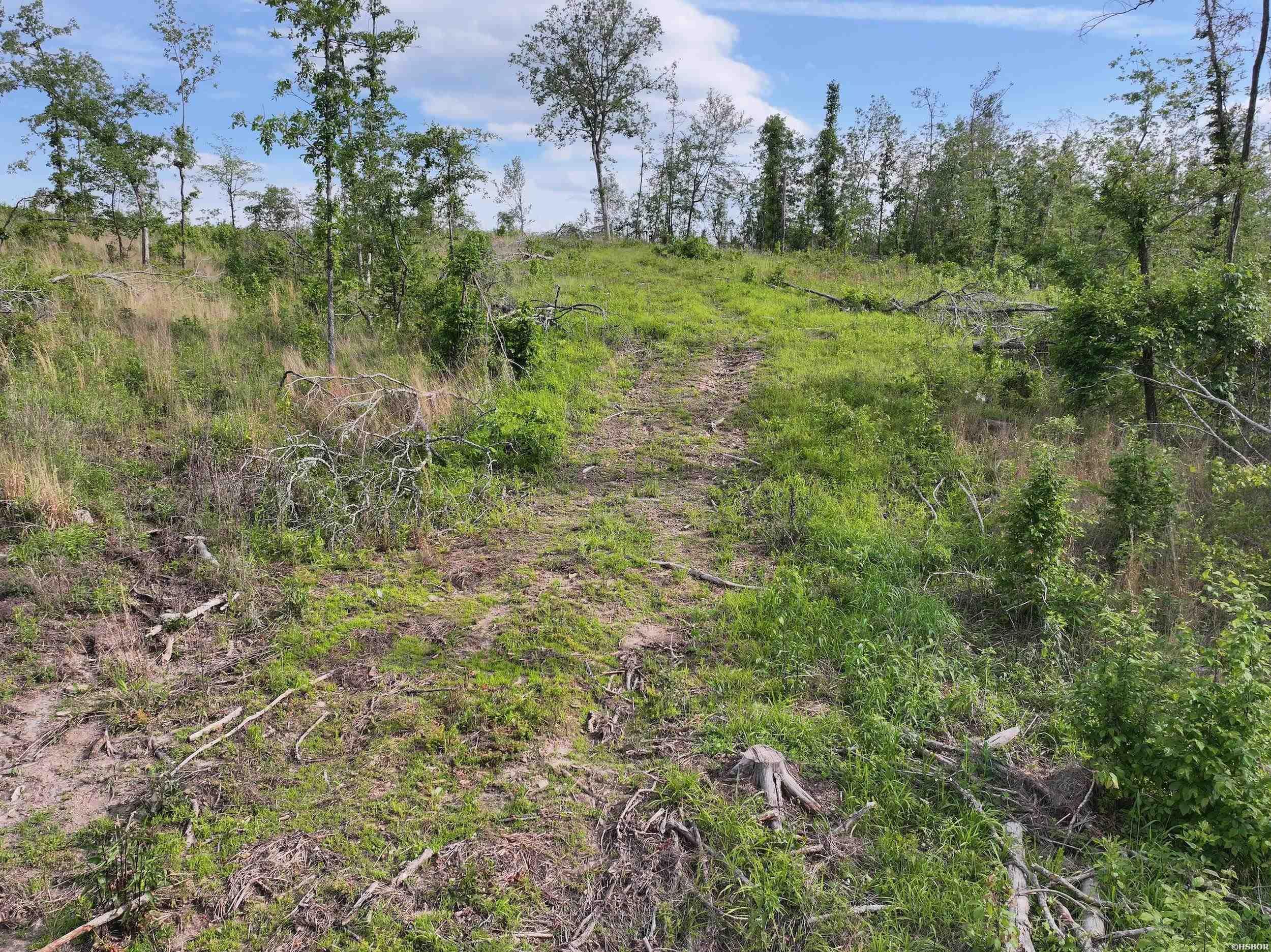 Xxx Mcgrew Property Photo 20