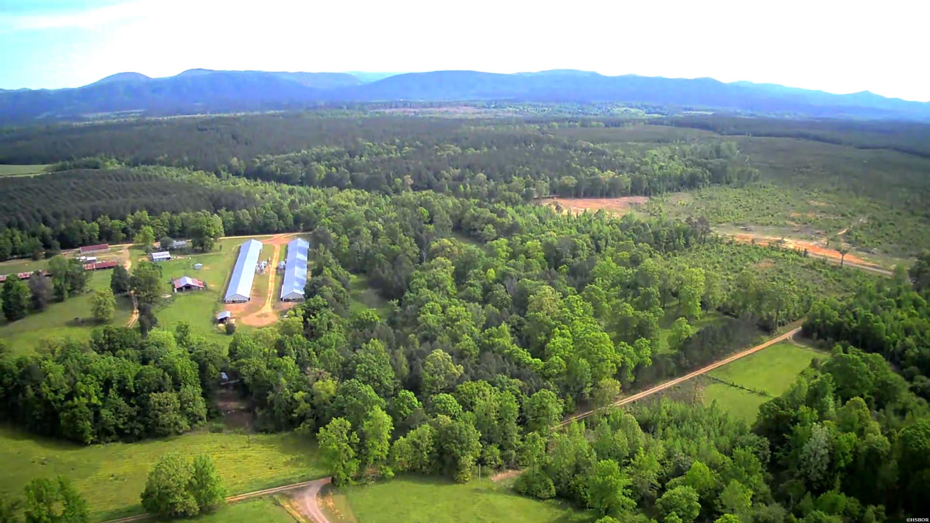 1313 Tollett Road Property Photo 41